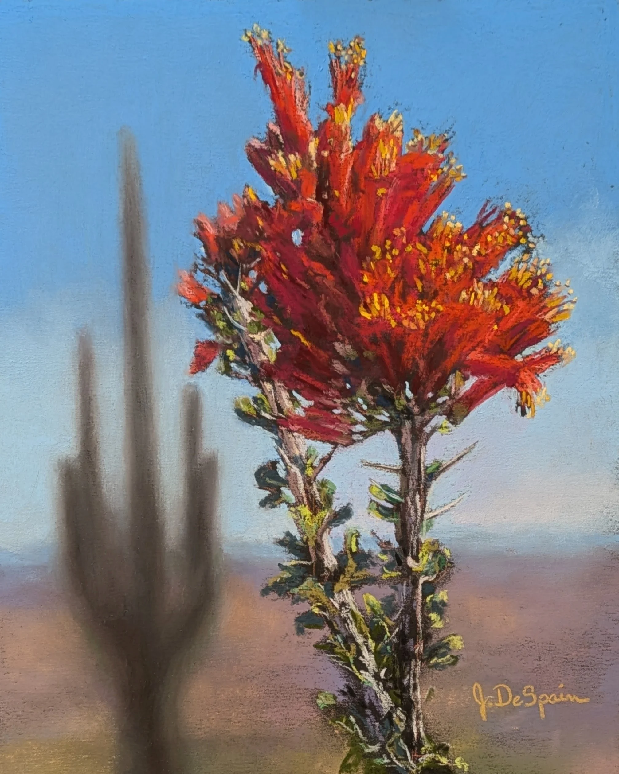 Ocotillo Blossom 8 x 10 (SOLD)