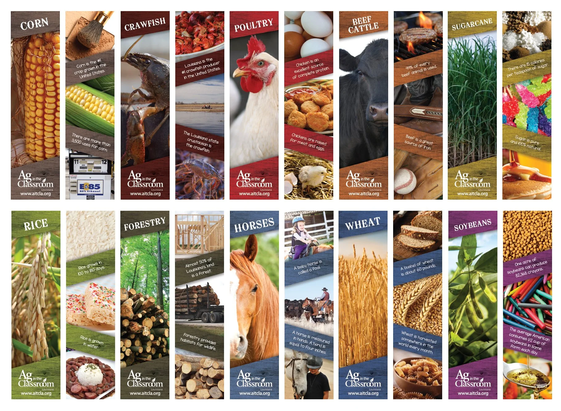 BookmarkLayout16_mockup.jpg