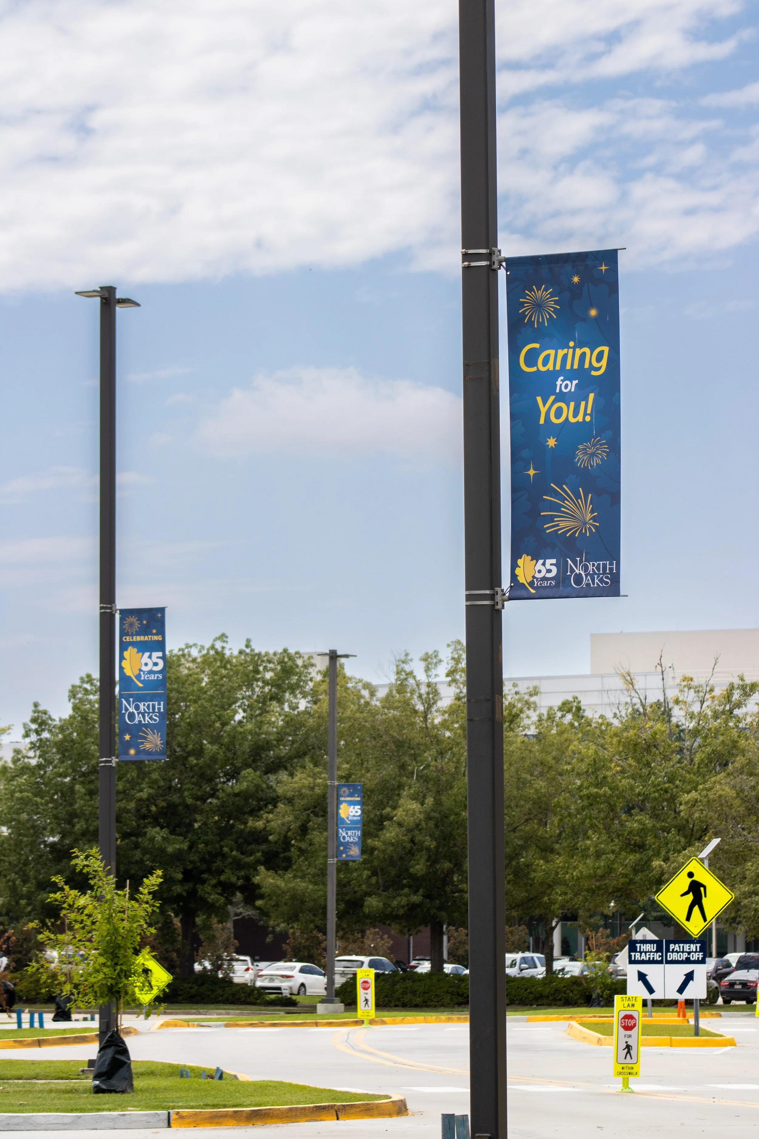 NOHS65_polebanners.jpg