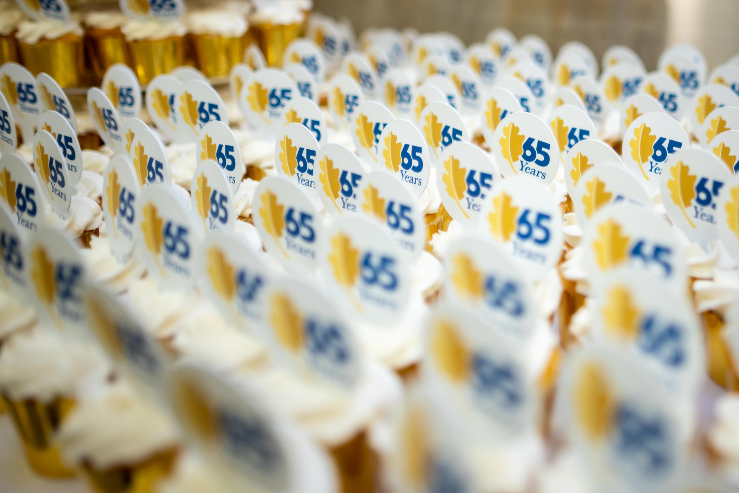 Anniversary Picnic 2025-1.jpg