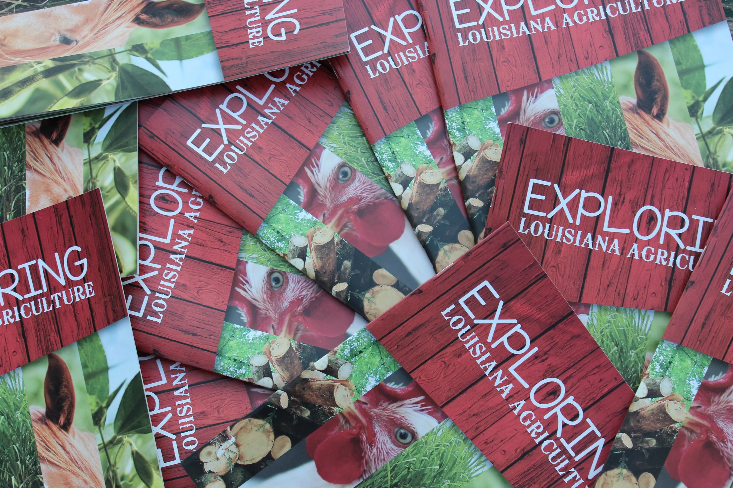Exploring Louisiana Agriculture
