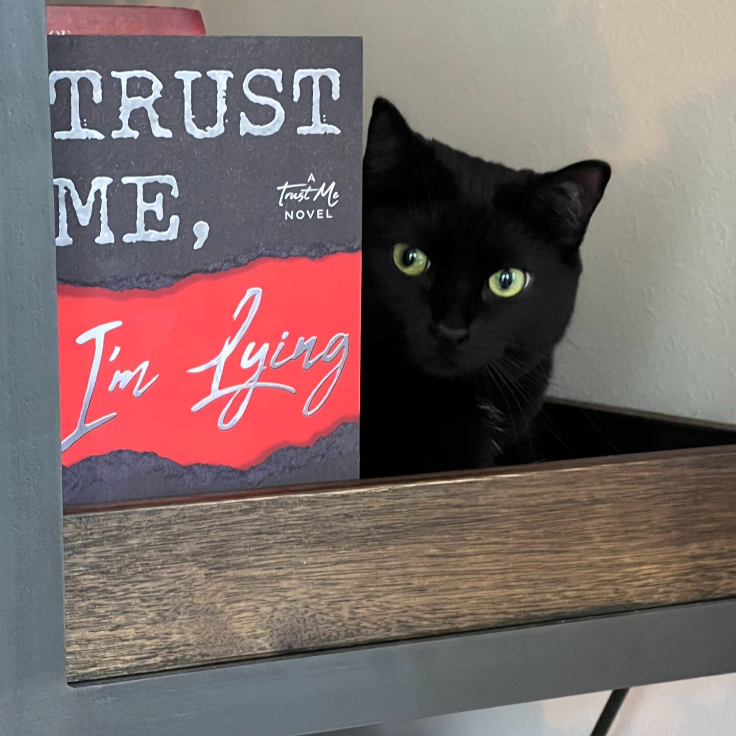 Luna says it's time to do crime. #bookstagram #catsofinstagram #yabooks #yacrimefiction #trustmeseries