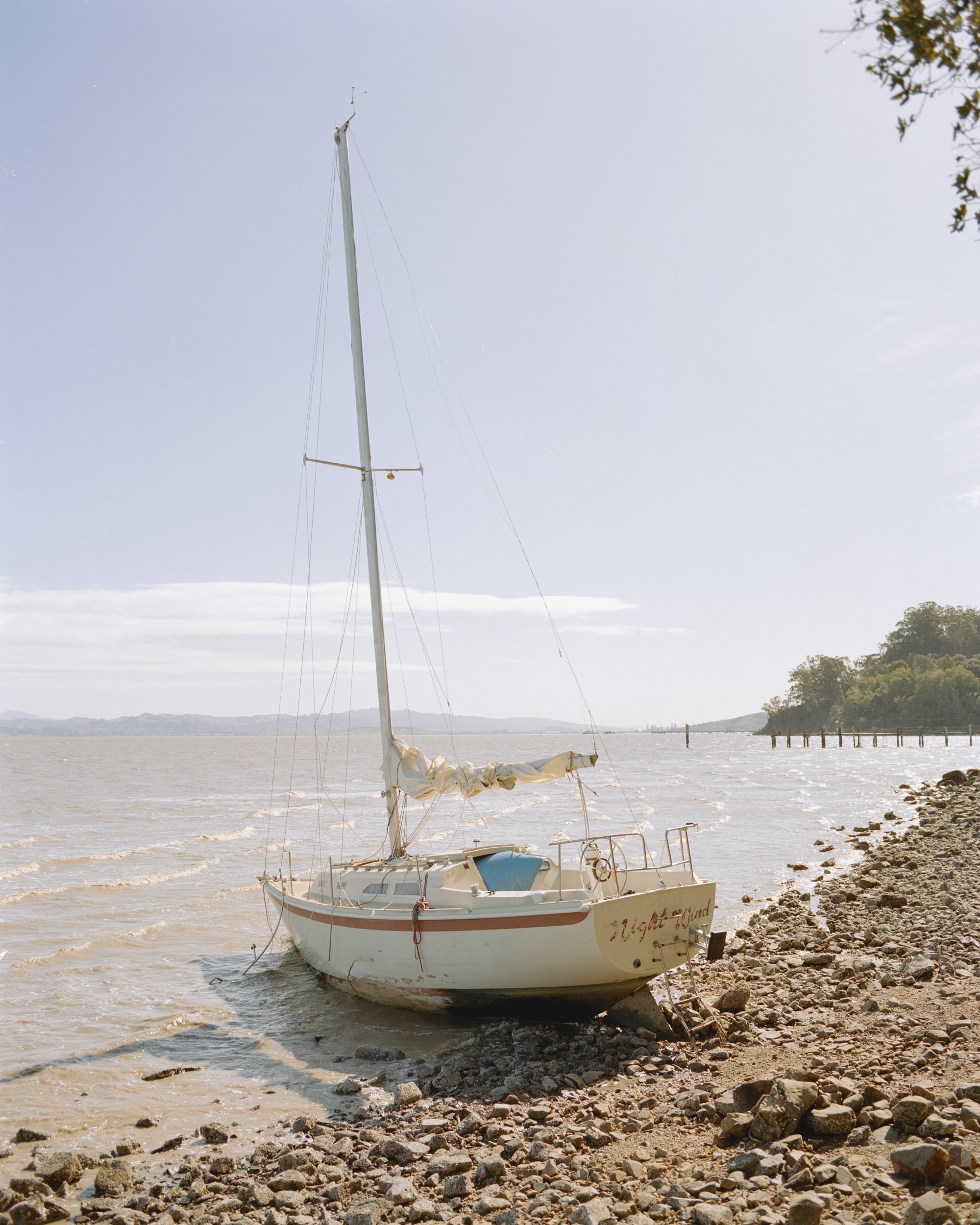 ChinaCamp and Muir Beach - Feb2300129.jpg