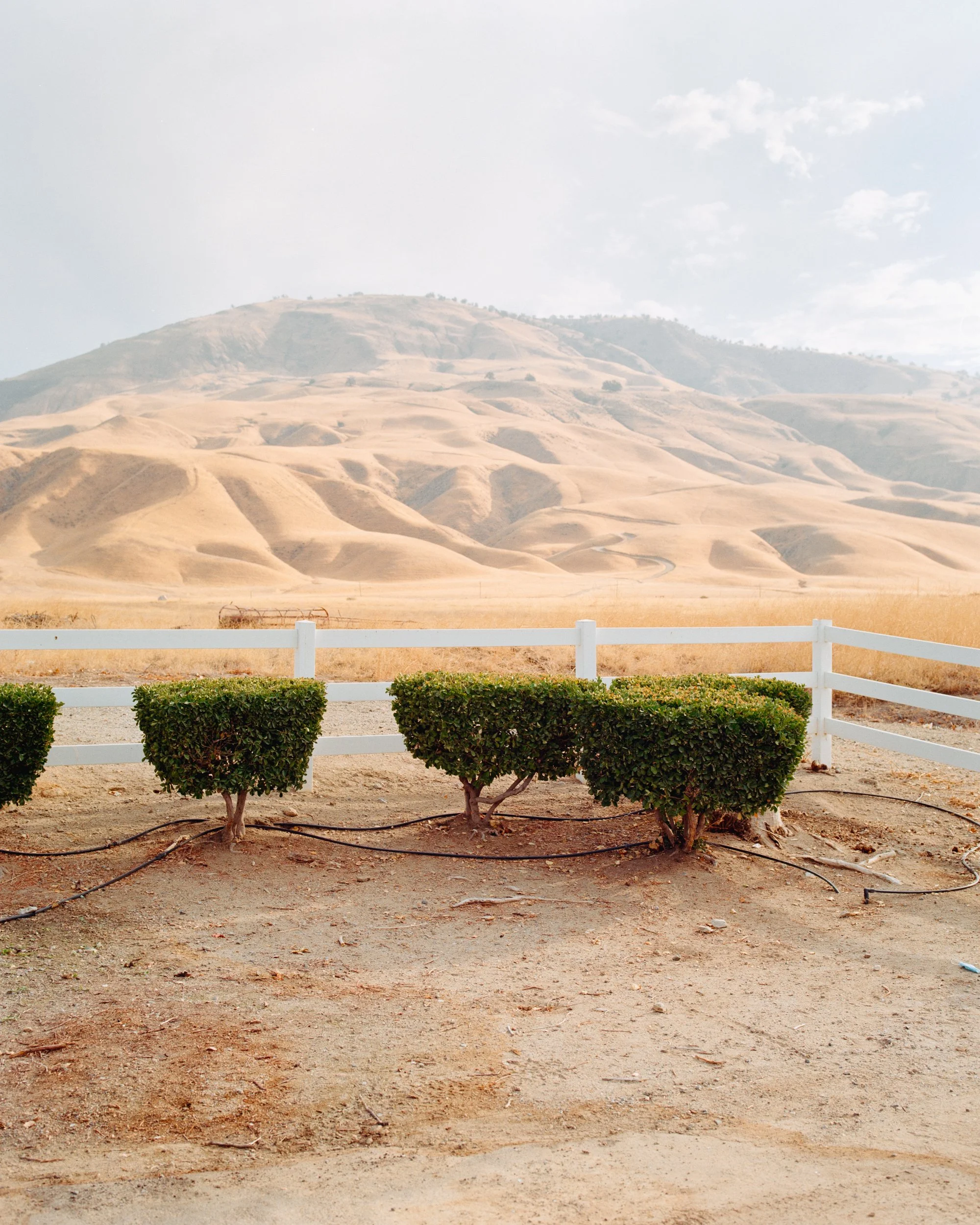 Point Reyes Film Oct00016-Edit.jpg