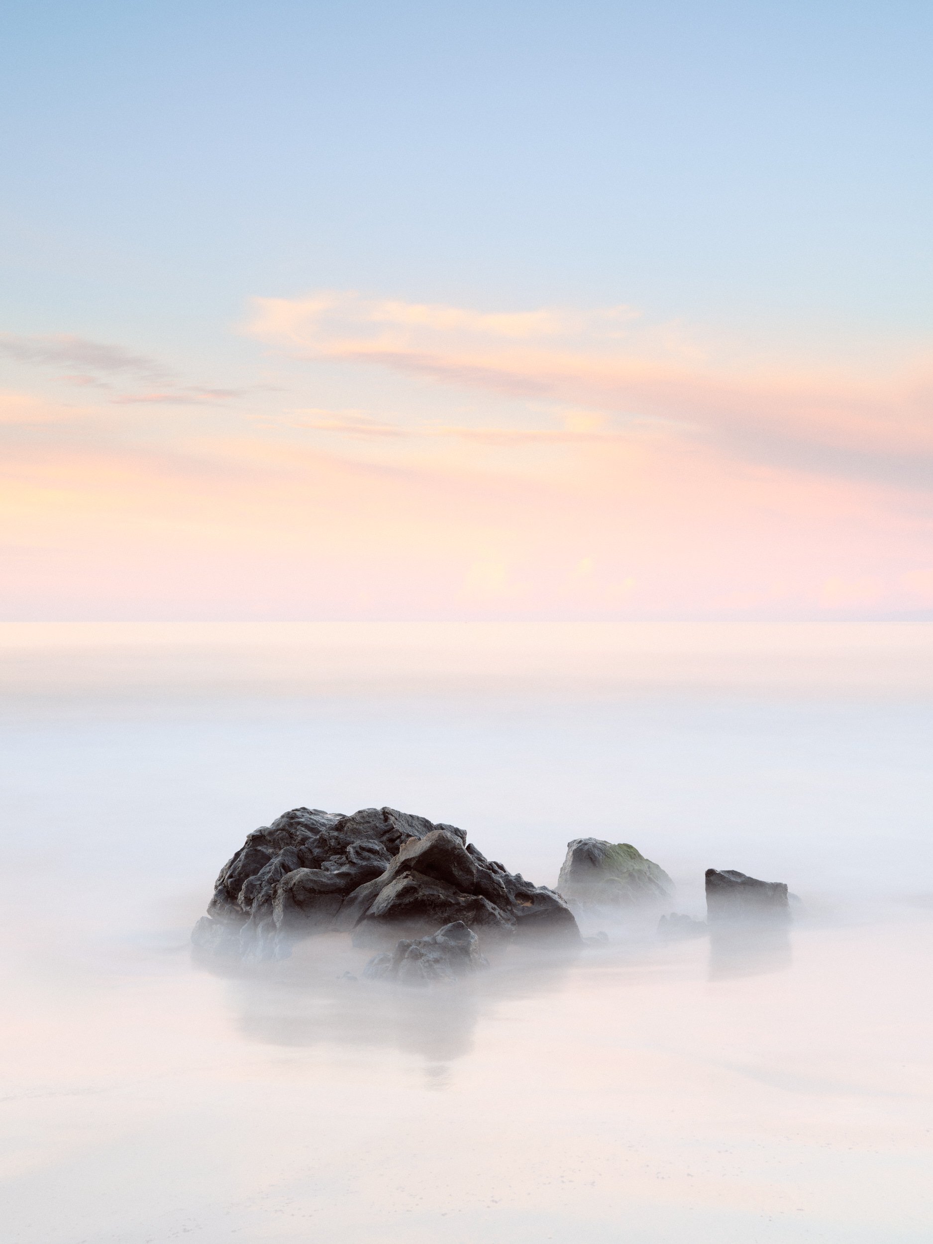 2026_DSF0317 1_squarespace PSD.jpg