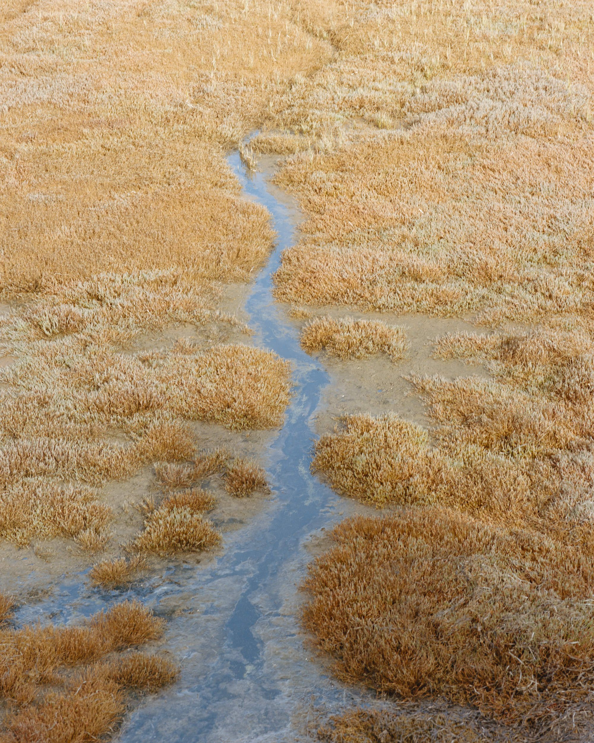 Film New Lightbox00018-Edit.jpg