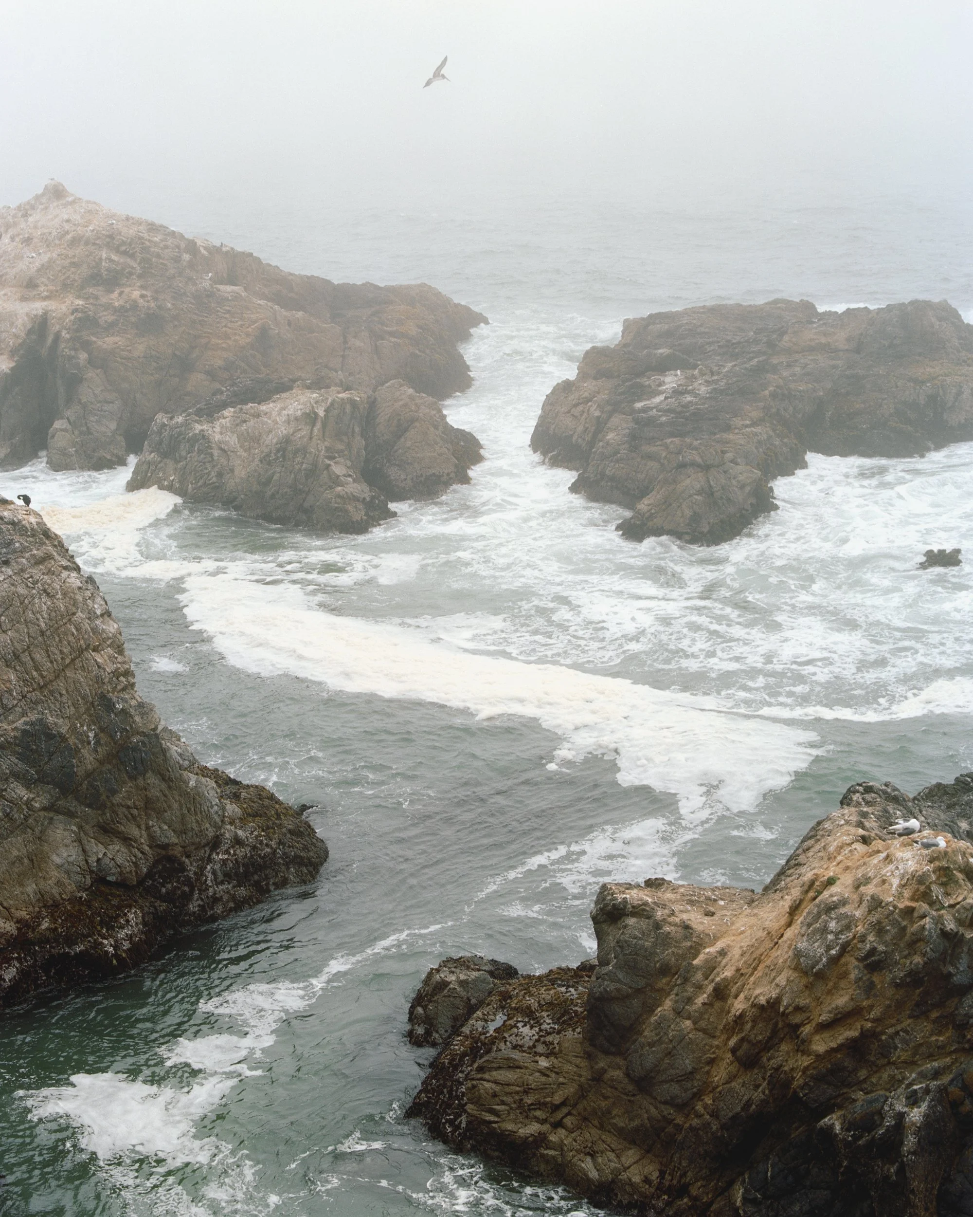 Film New Lightbox00006-Edit-2.jpg