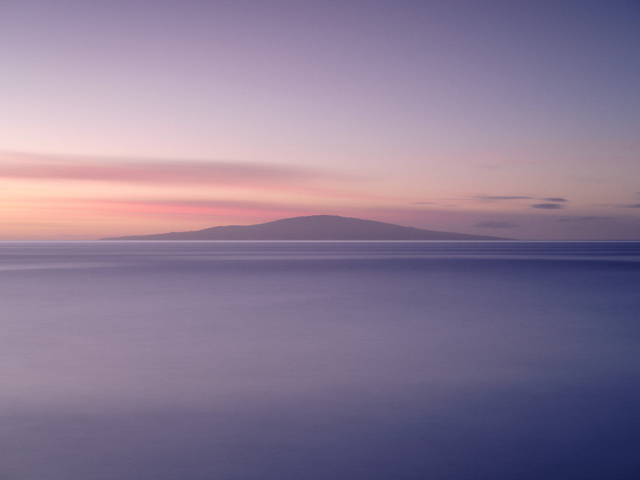 _DSF2005_squarespace V2.jpg