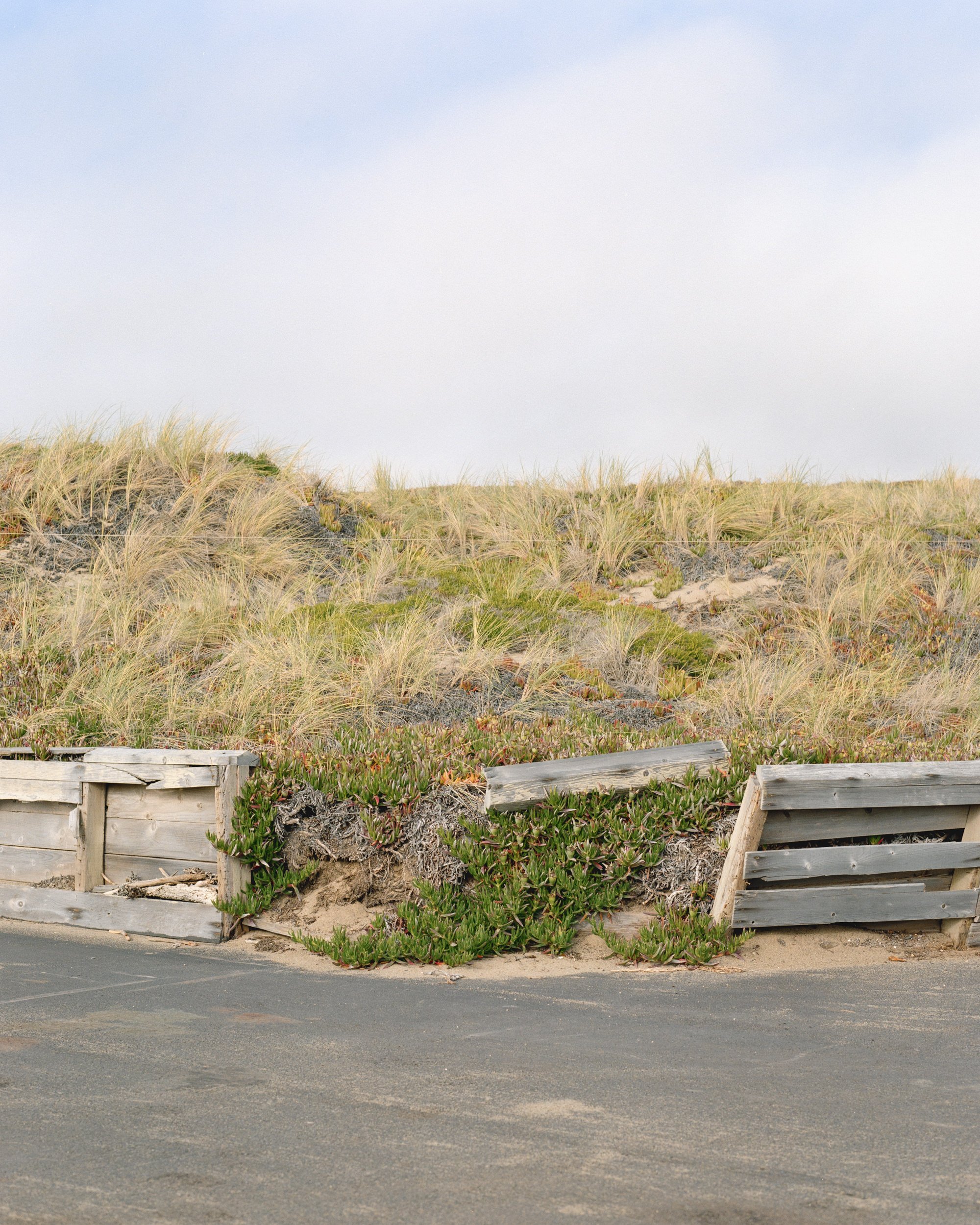 Point Reyes FIlm05306.jpg