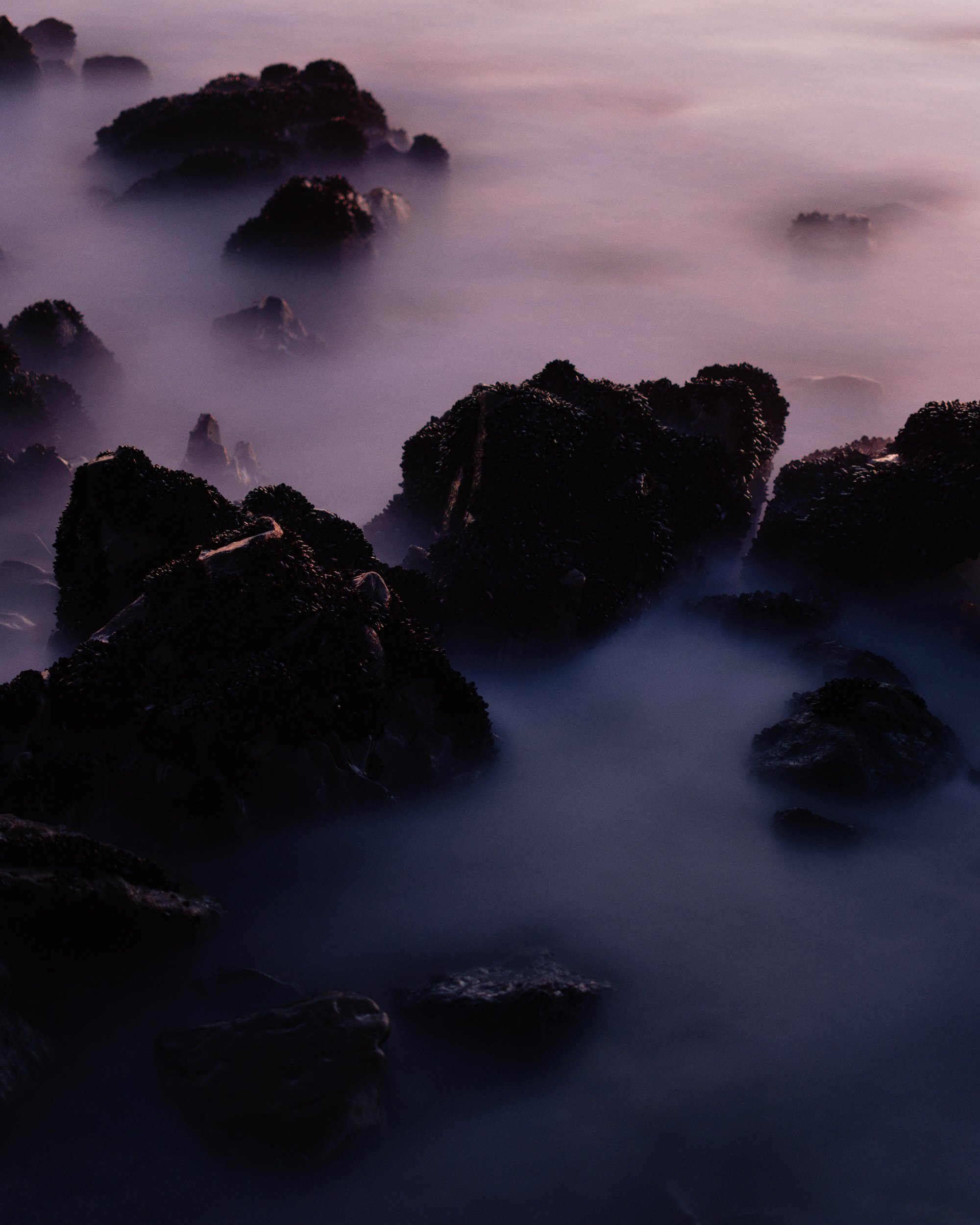 DSCF5585_squarespace 1.jpg