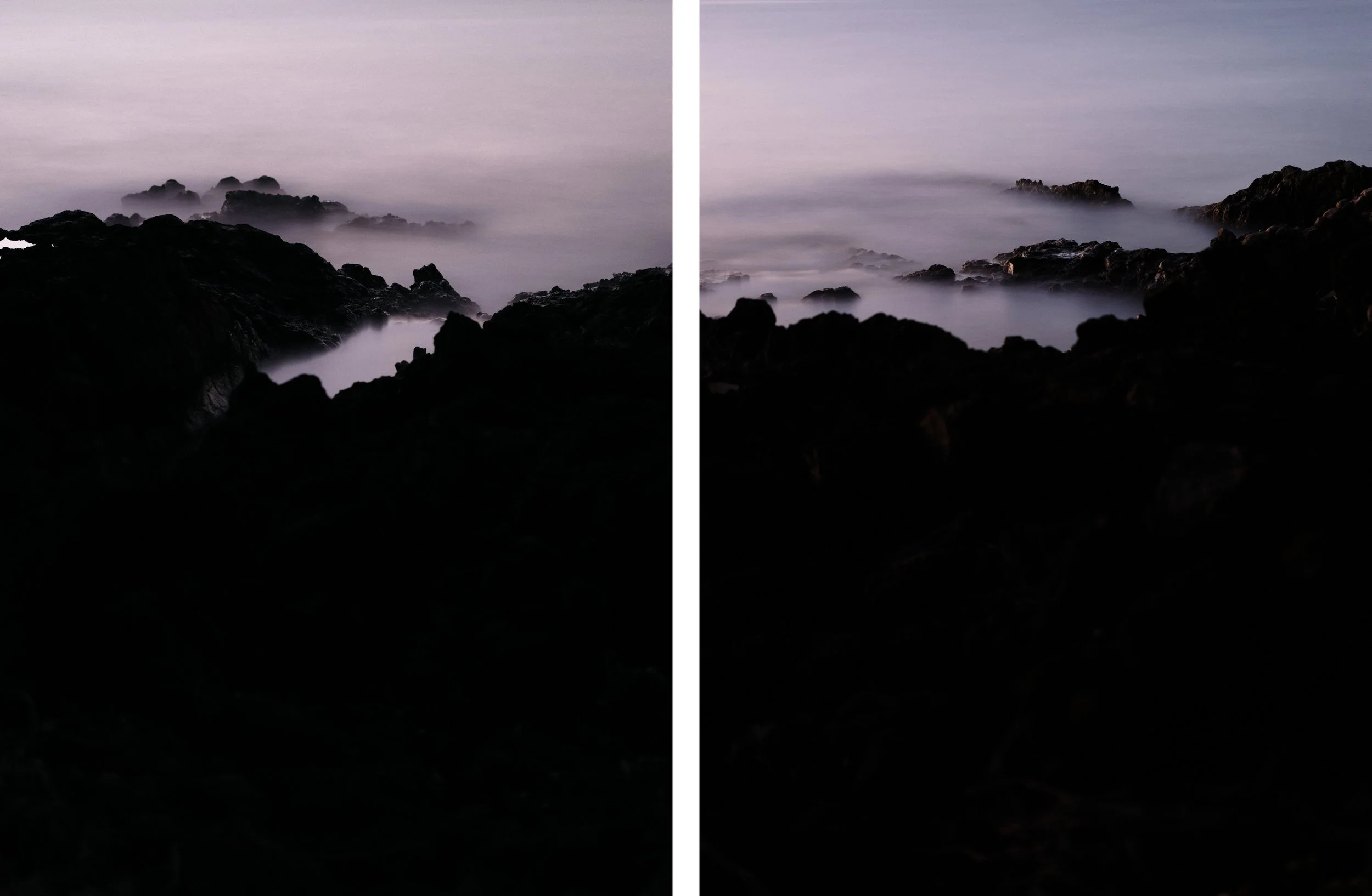_DSF2227_squarespace diptych v2.jpg