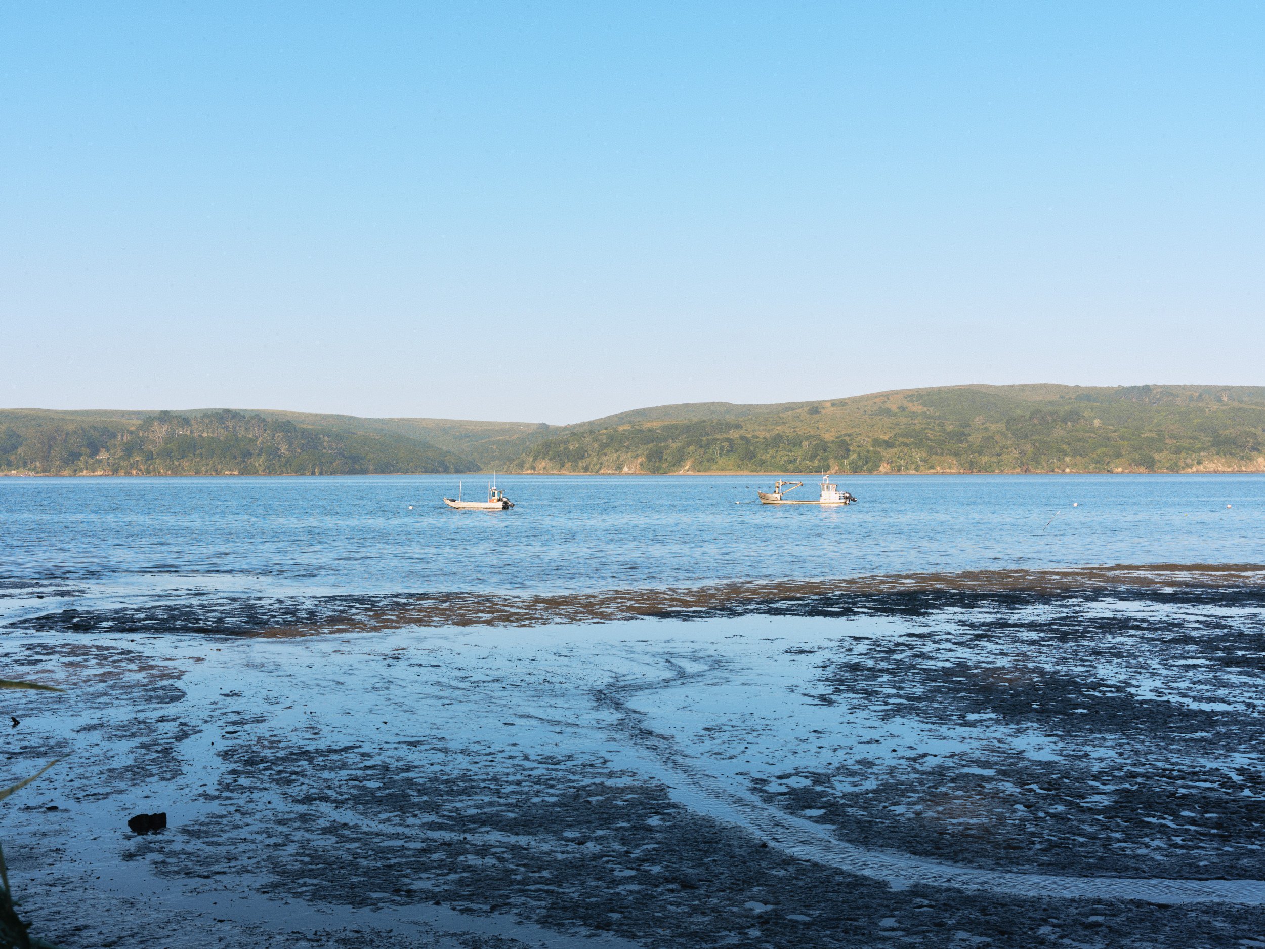 HogIslandNori_015.jpg