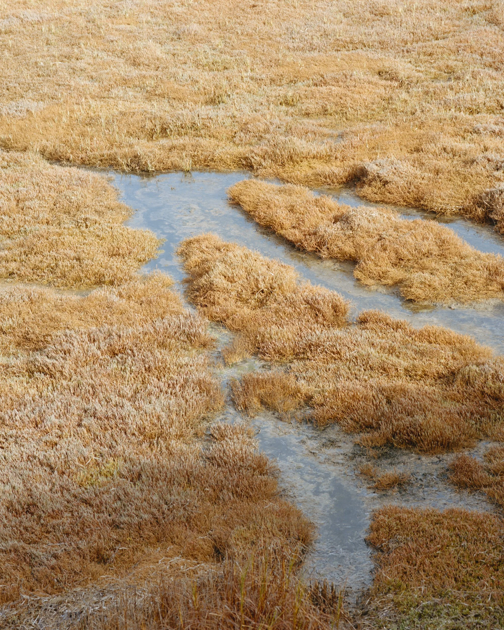 Film New Lightbox00017-Edit.jpg