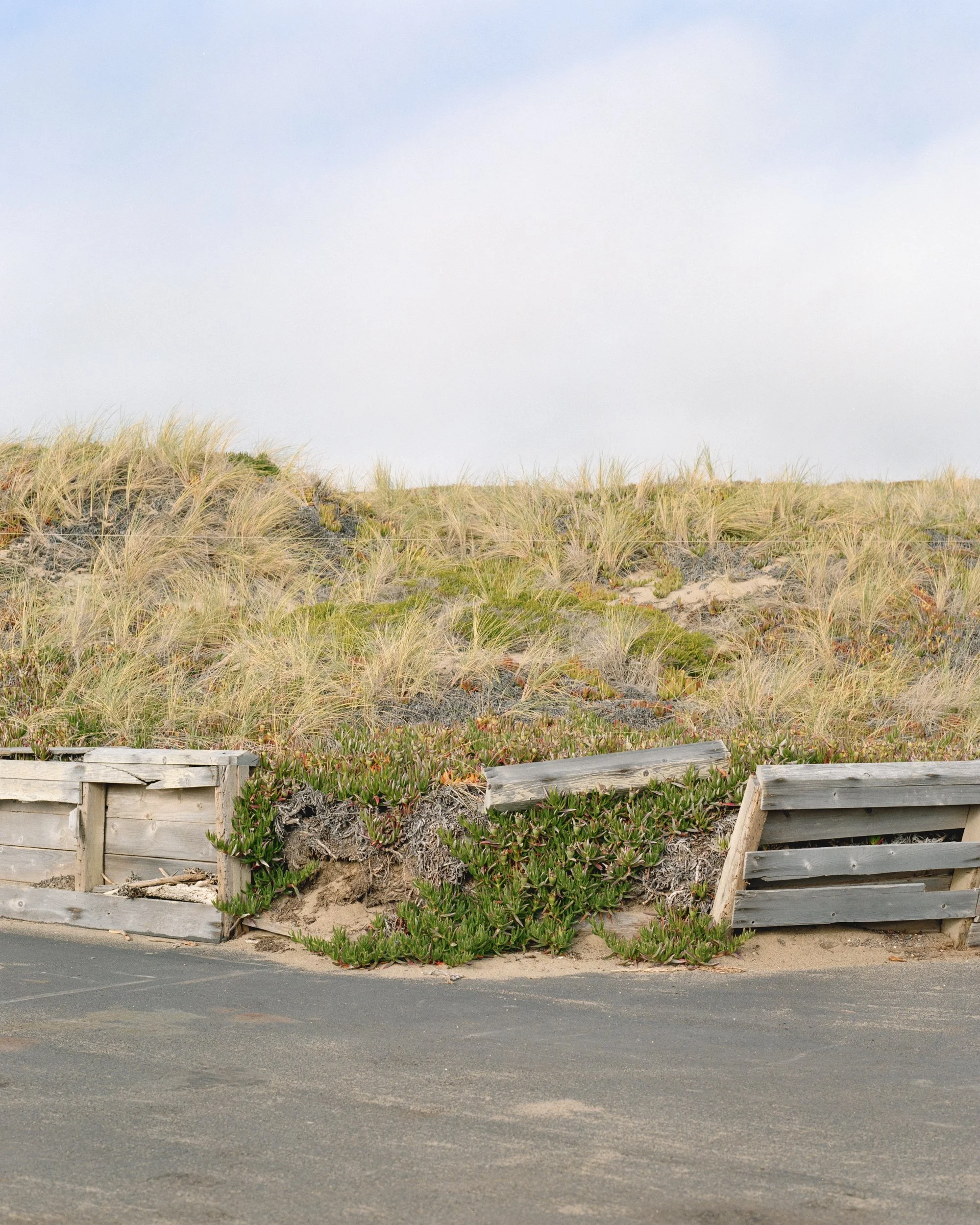 Point Reyes FIlm05306.jpg