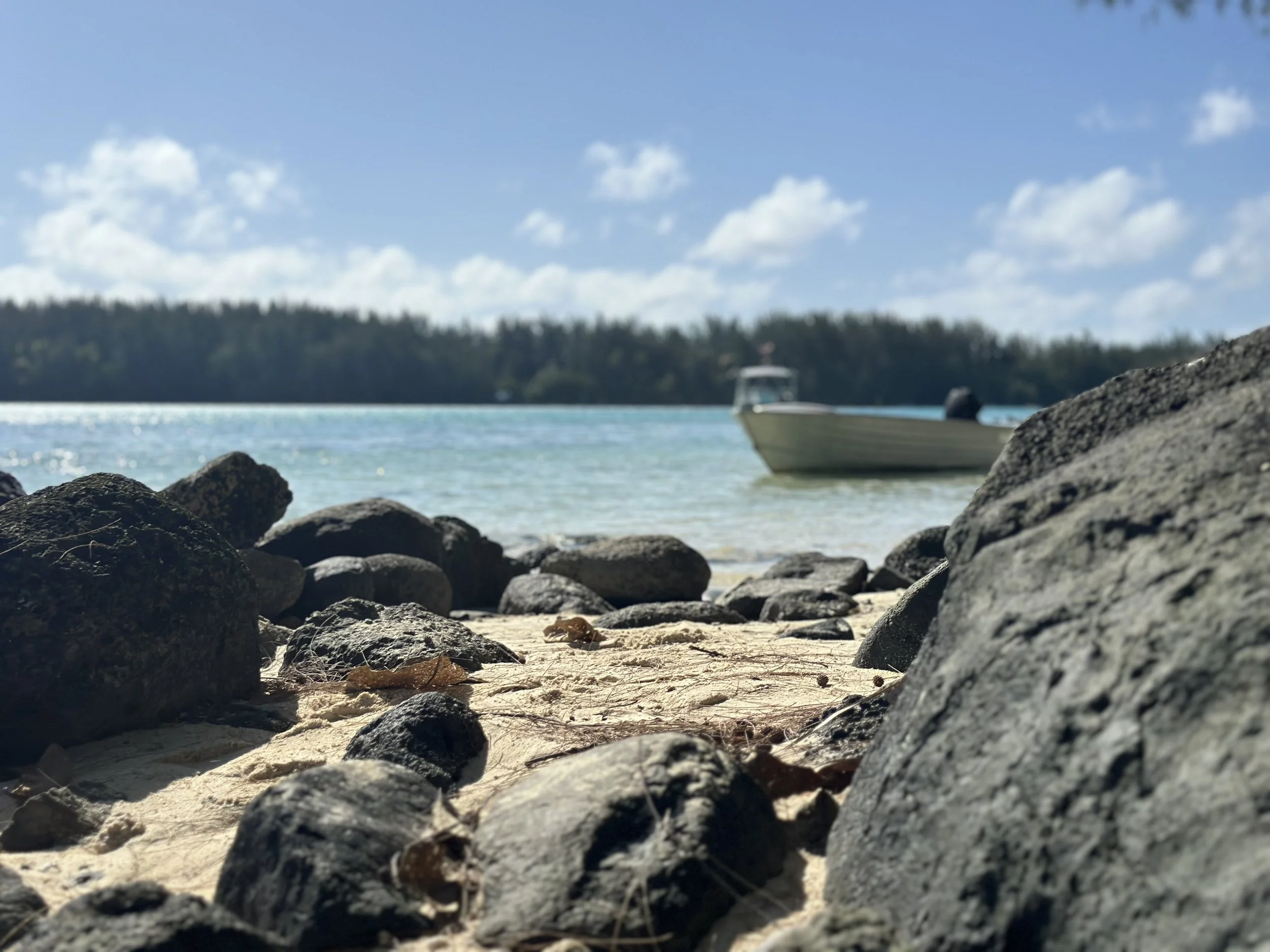 Close-up of rocks and sand on a beach with a boat in the water and trees in the background under a partly cloudy sky.