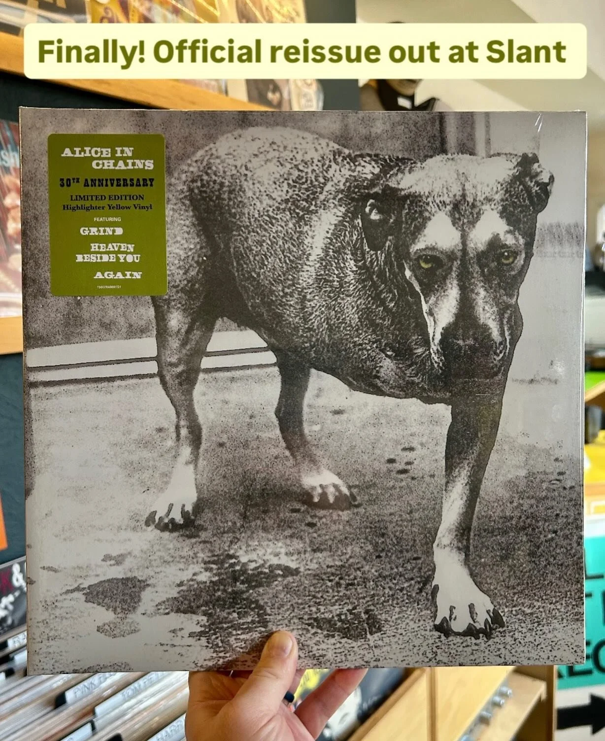 Much anticipated reissue hitting the shelves. 🐕