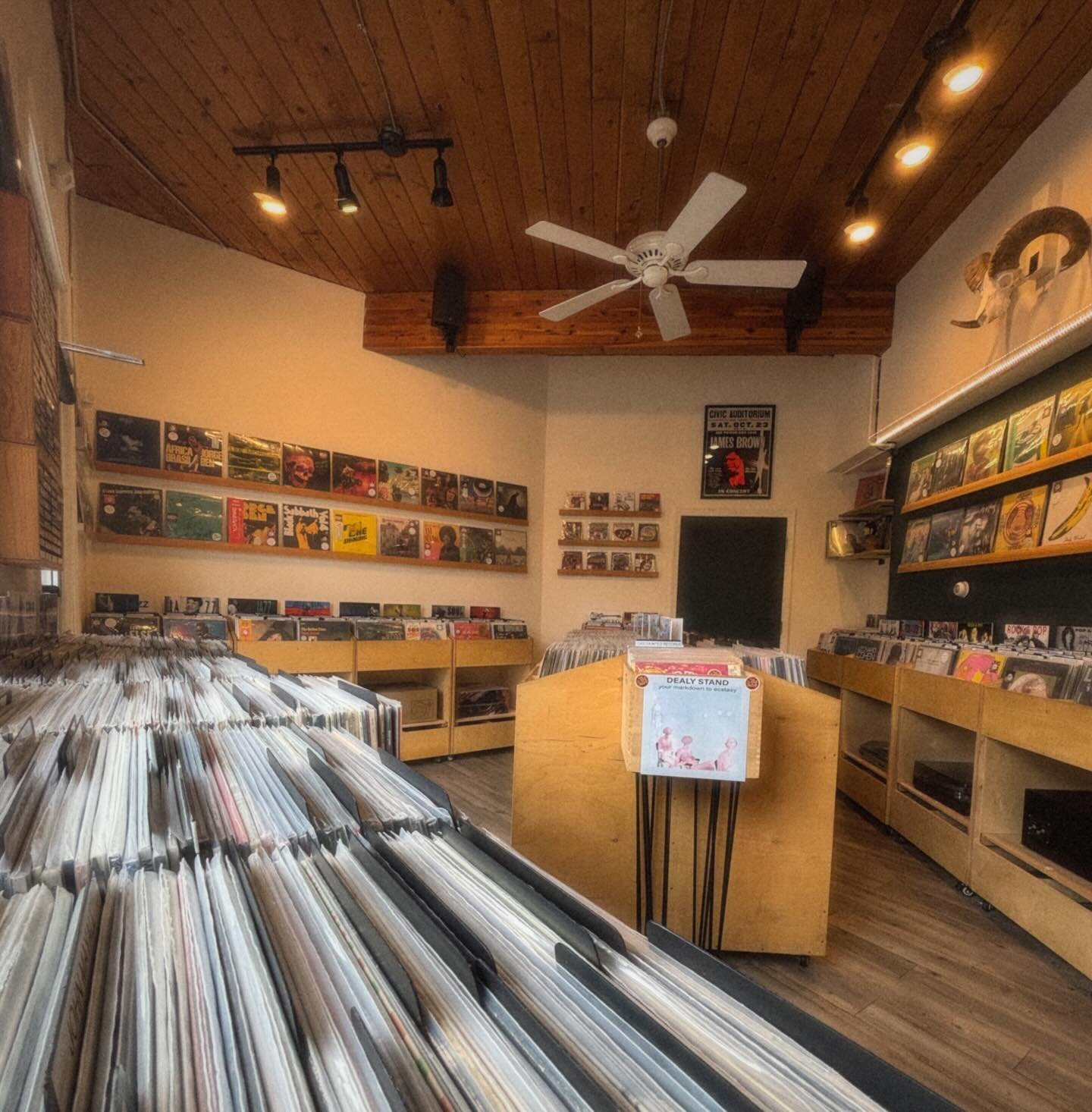 Happy Sunday, slantinators! The bins are stacked, shop is cozy, vibes are good. We&rsquo;re here till 4 🤸&zwj;♀️🌀🌧️🎸