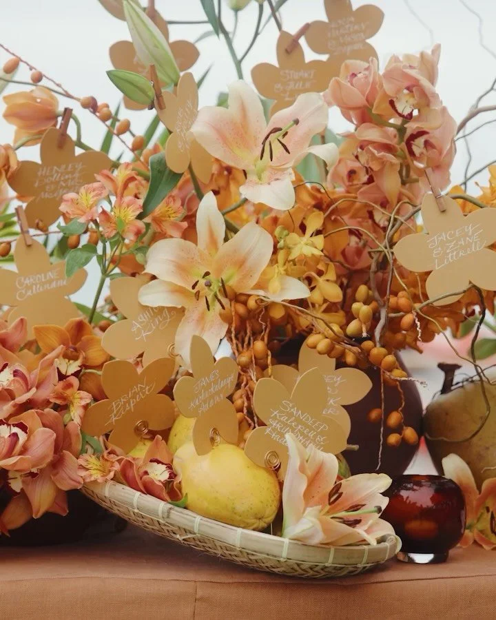 A serendipitous run-in with the coconut guy; curly weird alien materials from home; heart shaped papayas&hellip; (Or is it mango?)🥭 &ldquo;&hellip;and just &ldquo;where are my snips?! &ldquo; and all the interesting questions we find ourselves askin