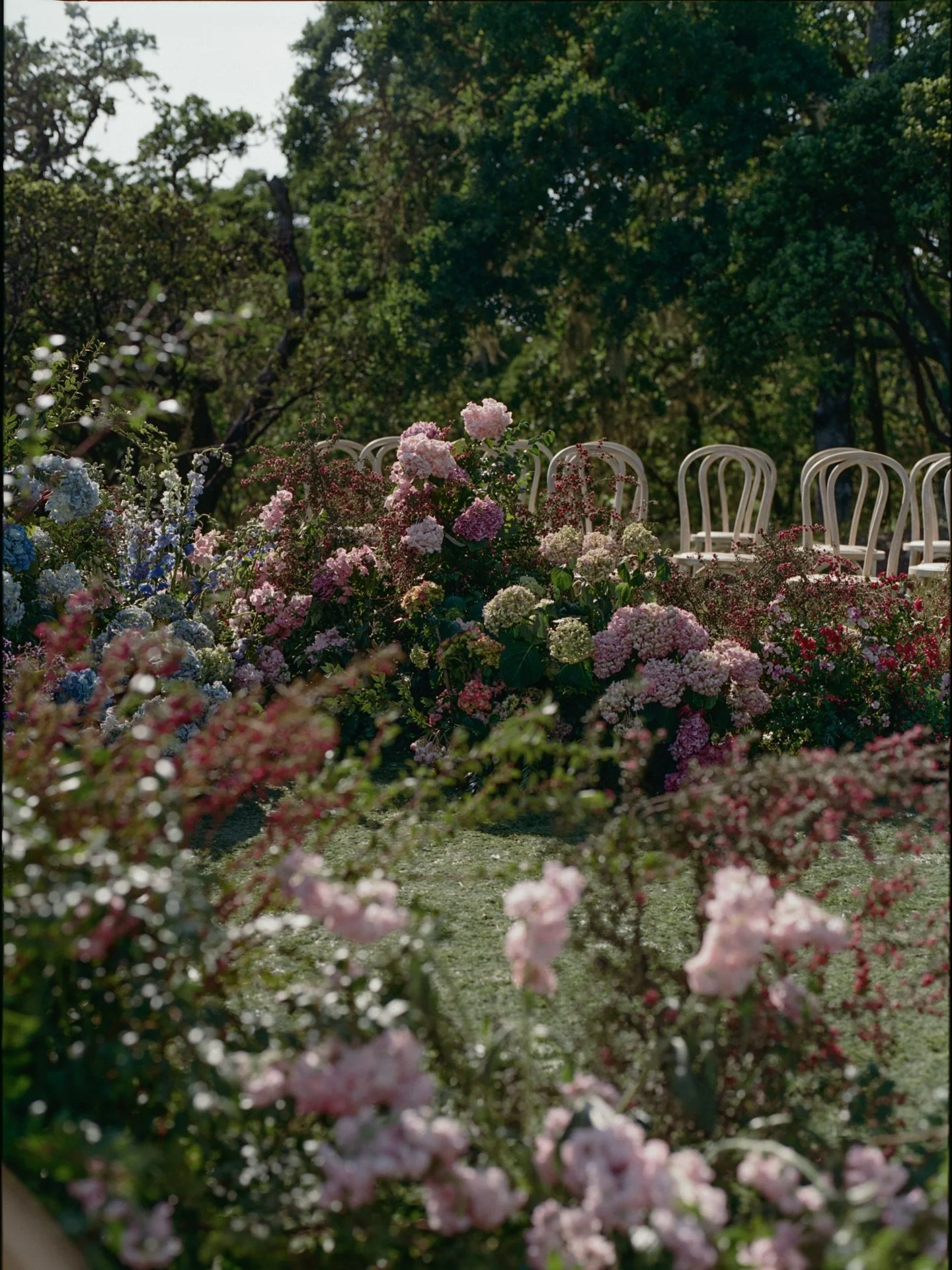 Feeling blue today, and her in her blue dress. 💙

Holly &amp; Eric part 1, Spring
Planning | @downeystreetevents 
Photography | @samanthadeanphoto 
Rentals | @foundrentalco 
Venue | @montagehealdsburg
