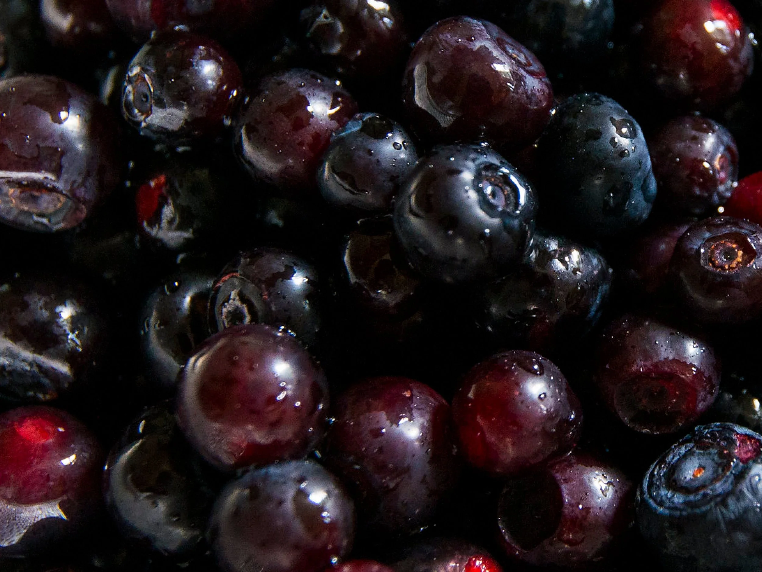 Native Foods and Culture