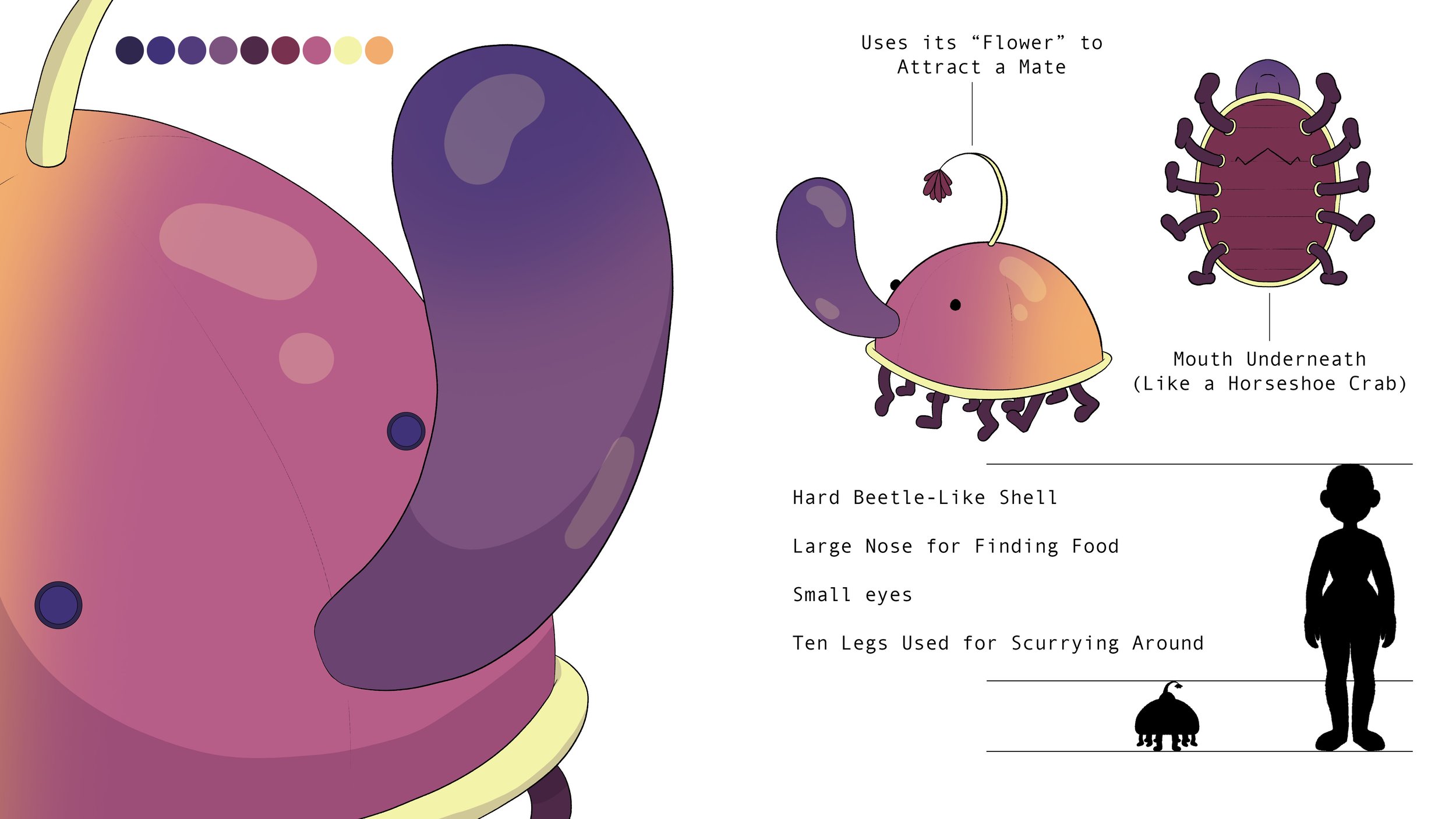 Bug Reference copy 2.jpeg