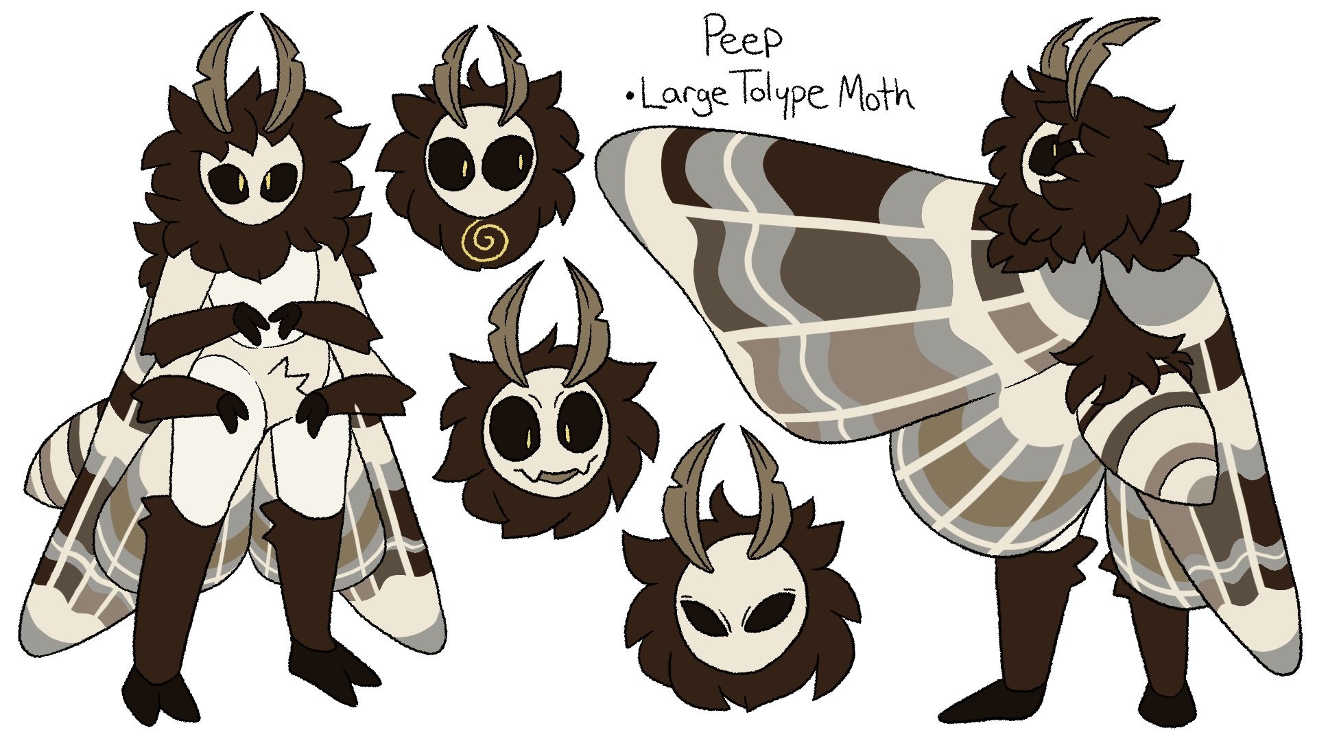 Moth OC copy.jpeg