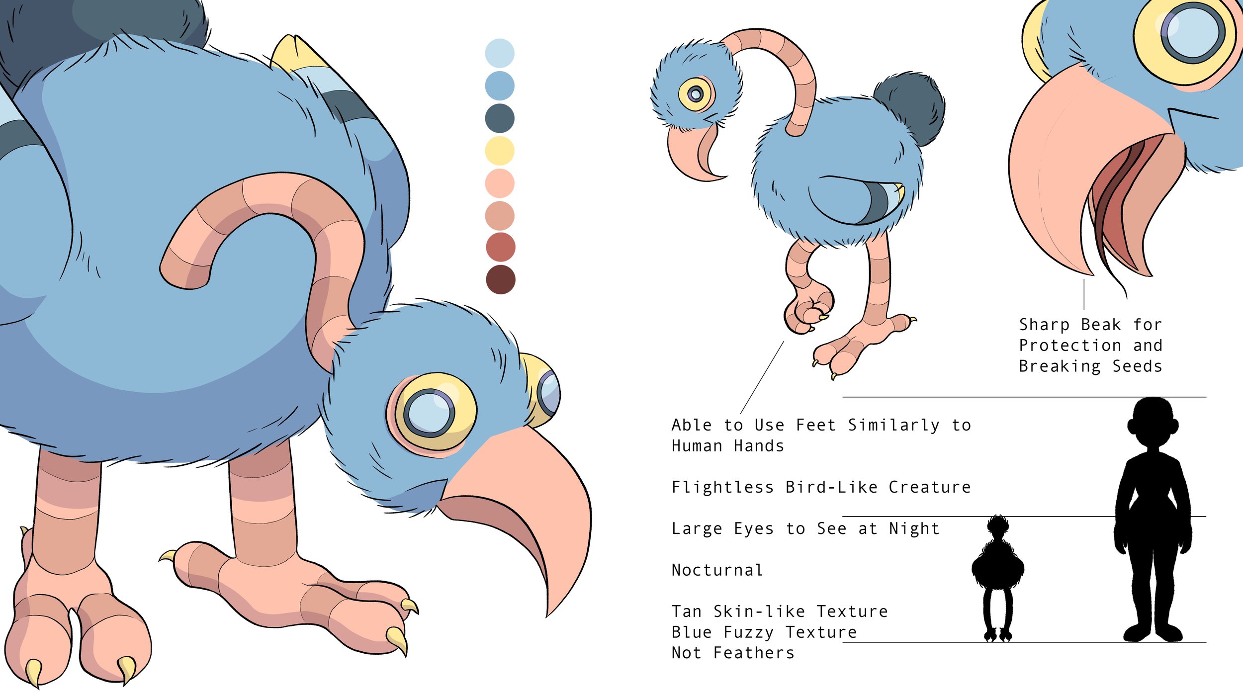 Bird Reference copy 2.jpeg
