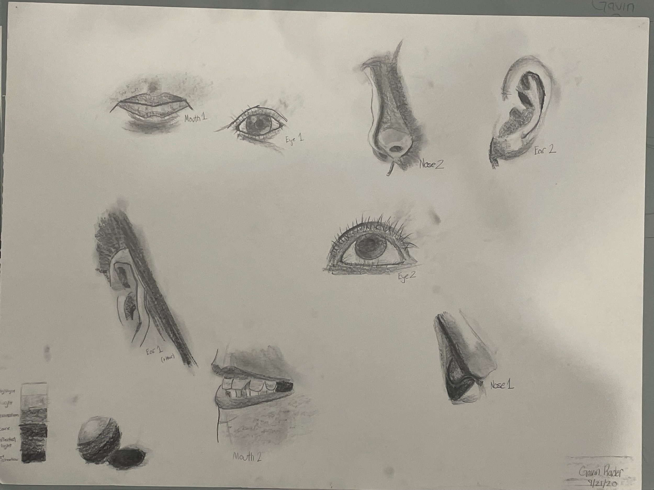 Facial Features Exploration. Done in Graphite/Pencil