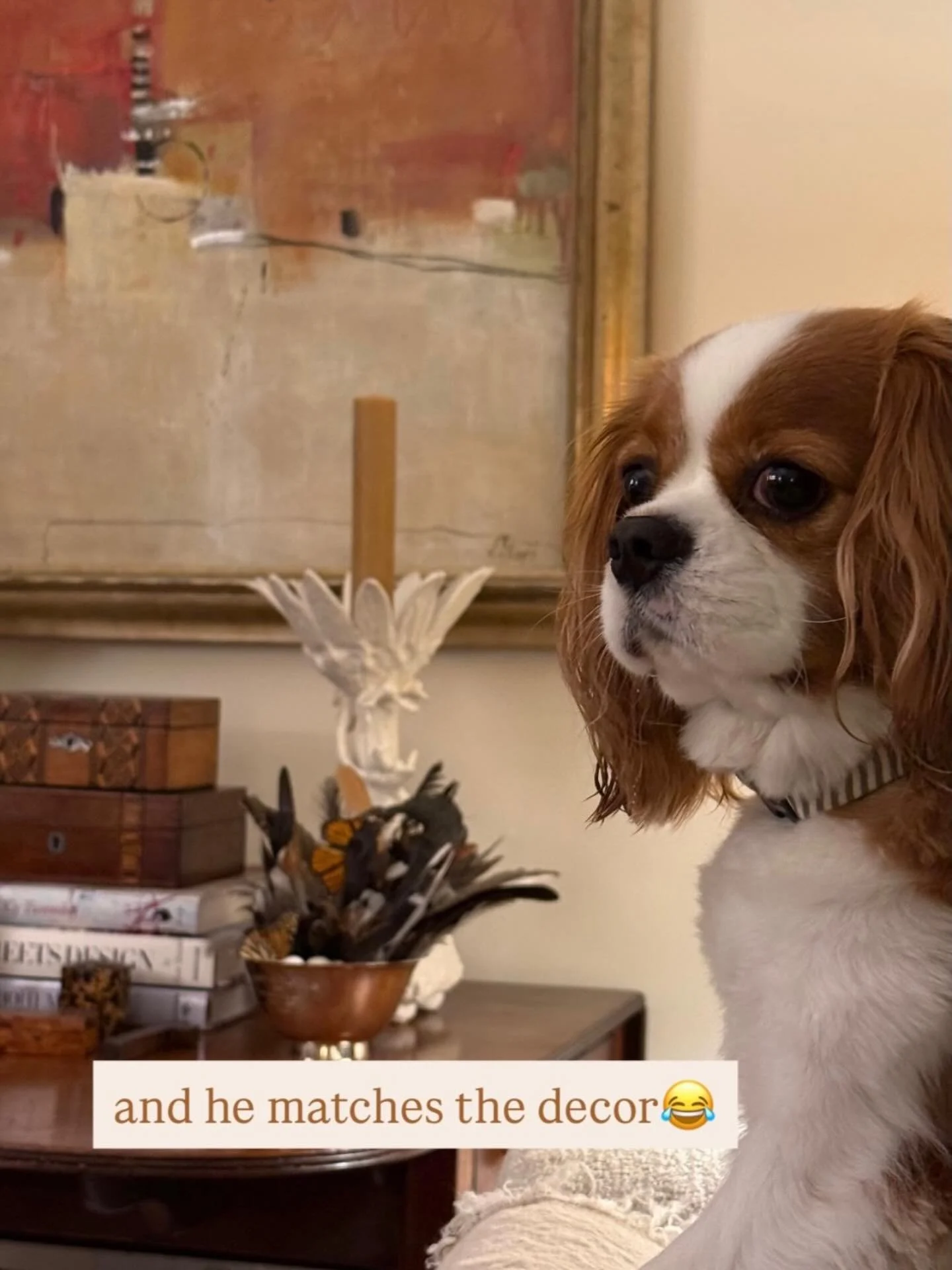 Love when the Pup matches the Decor!  Thank you @bobbinsdesign for sharing💕