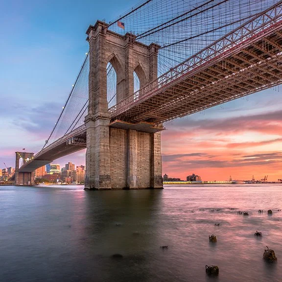 The Space We Forgot We Had: Gotham Park and the Nine Acres Under the Brooklyn Bridge