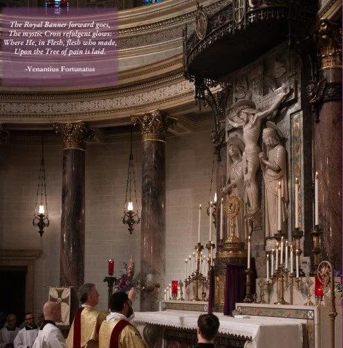 THE EUCHARIST: A MYSTERY TO BELIEVE, CELEBRATE, AND LIVE 