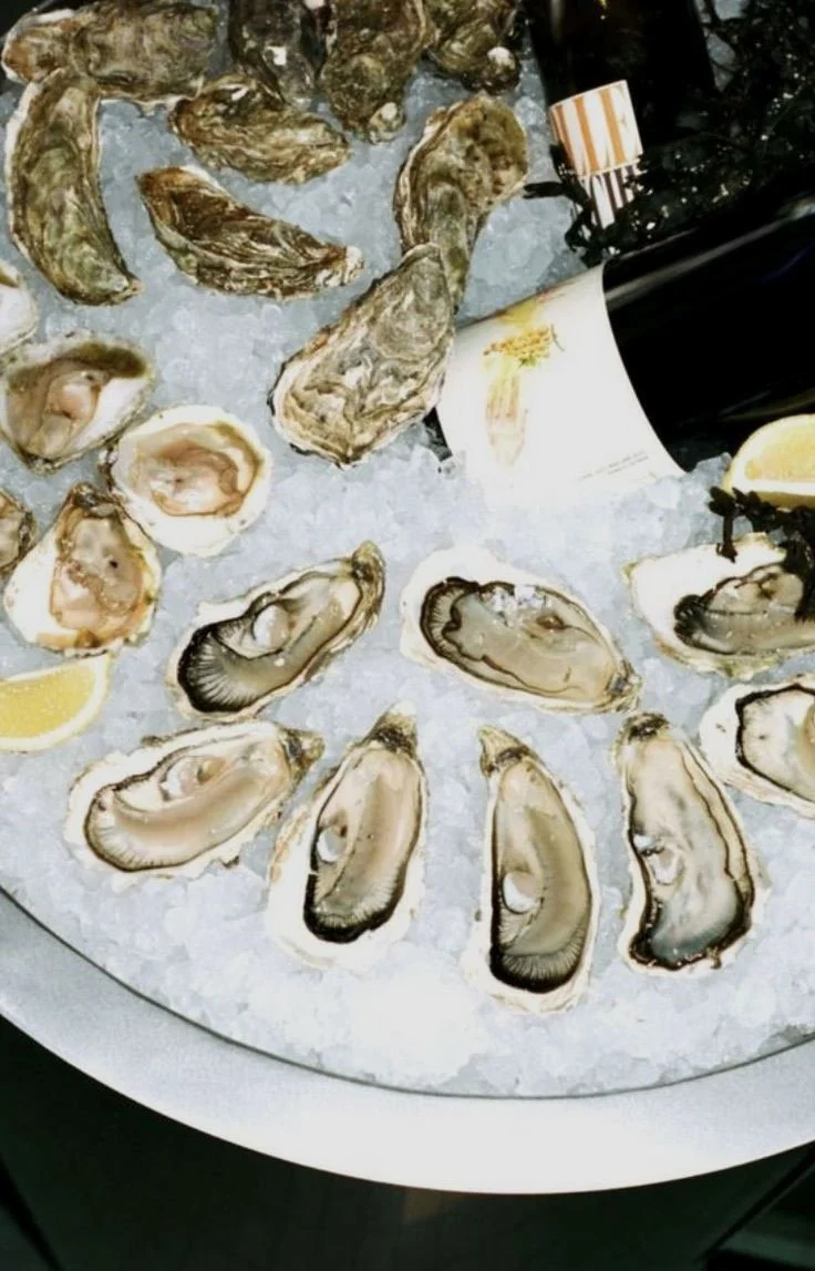 oysters on a plate