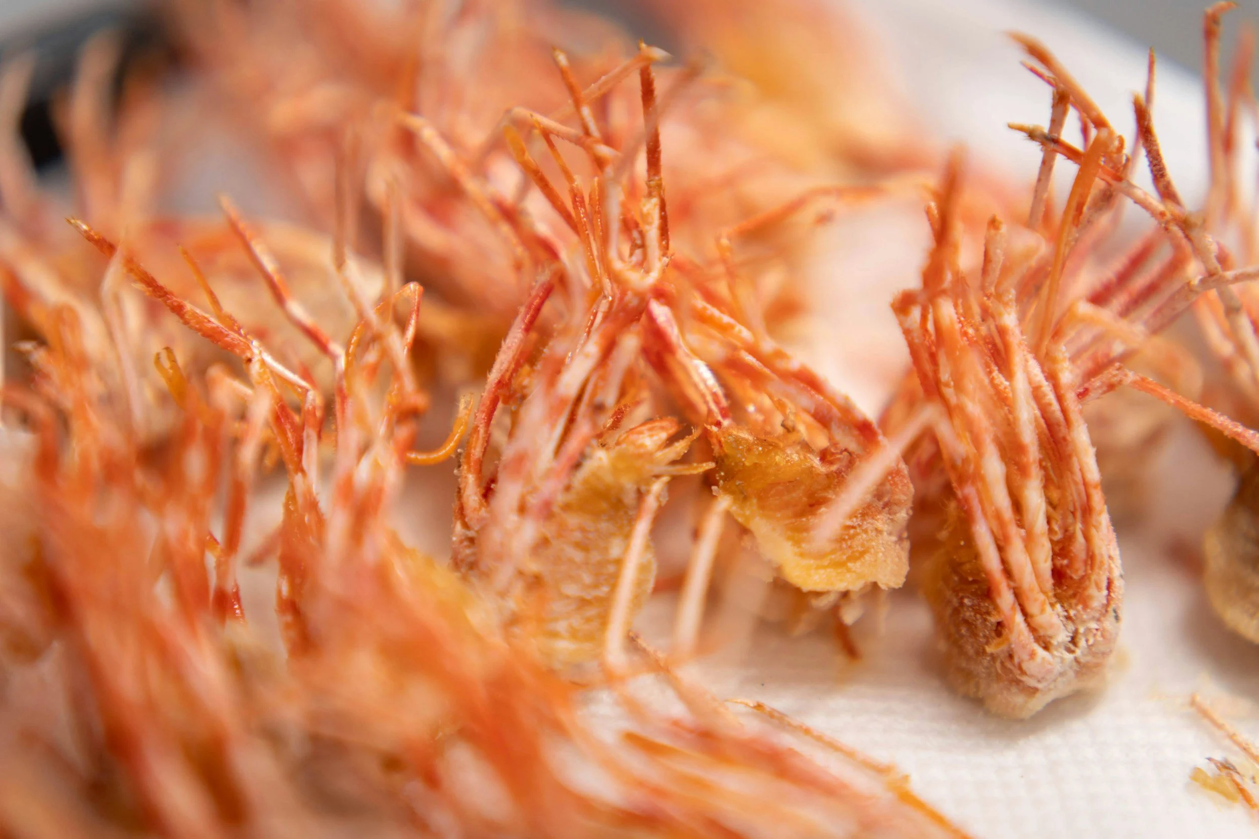 seafood in los angeles