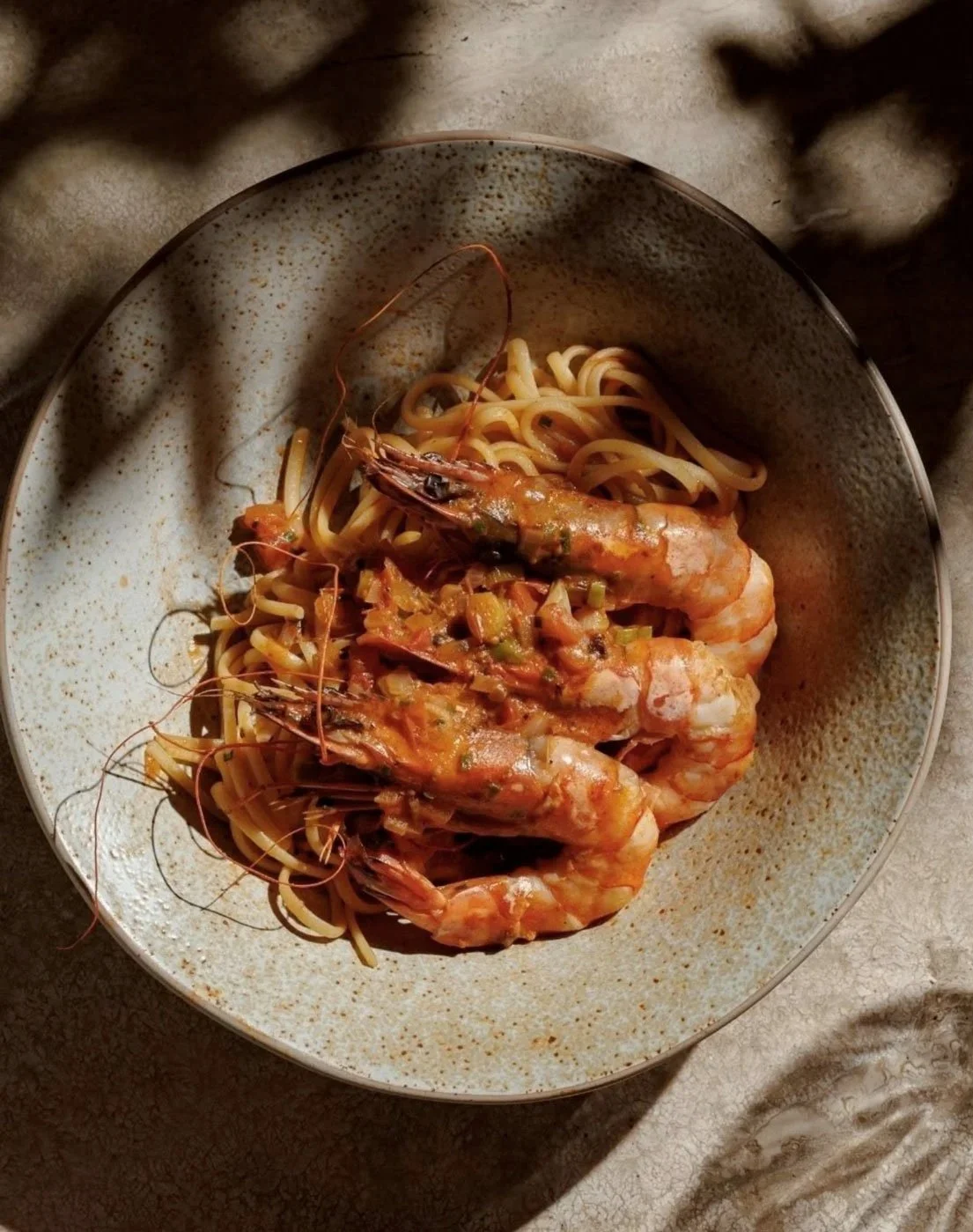 MERiNE shrimp