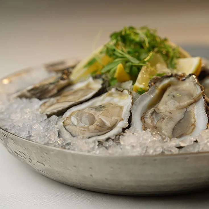 oysters on a plate