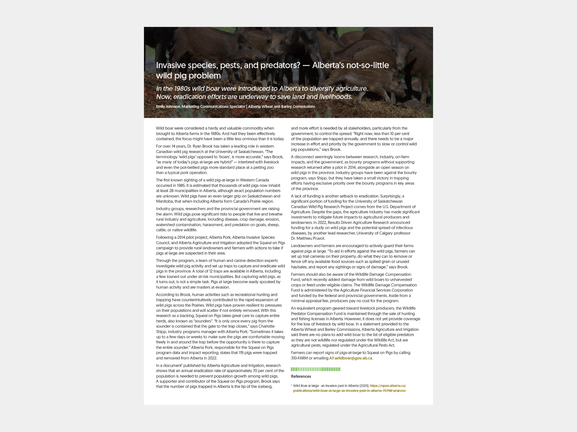 Untitled design (13).png
