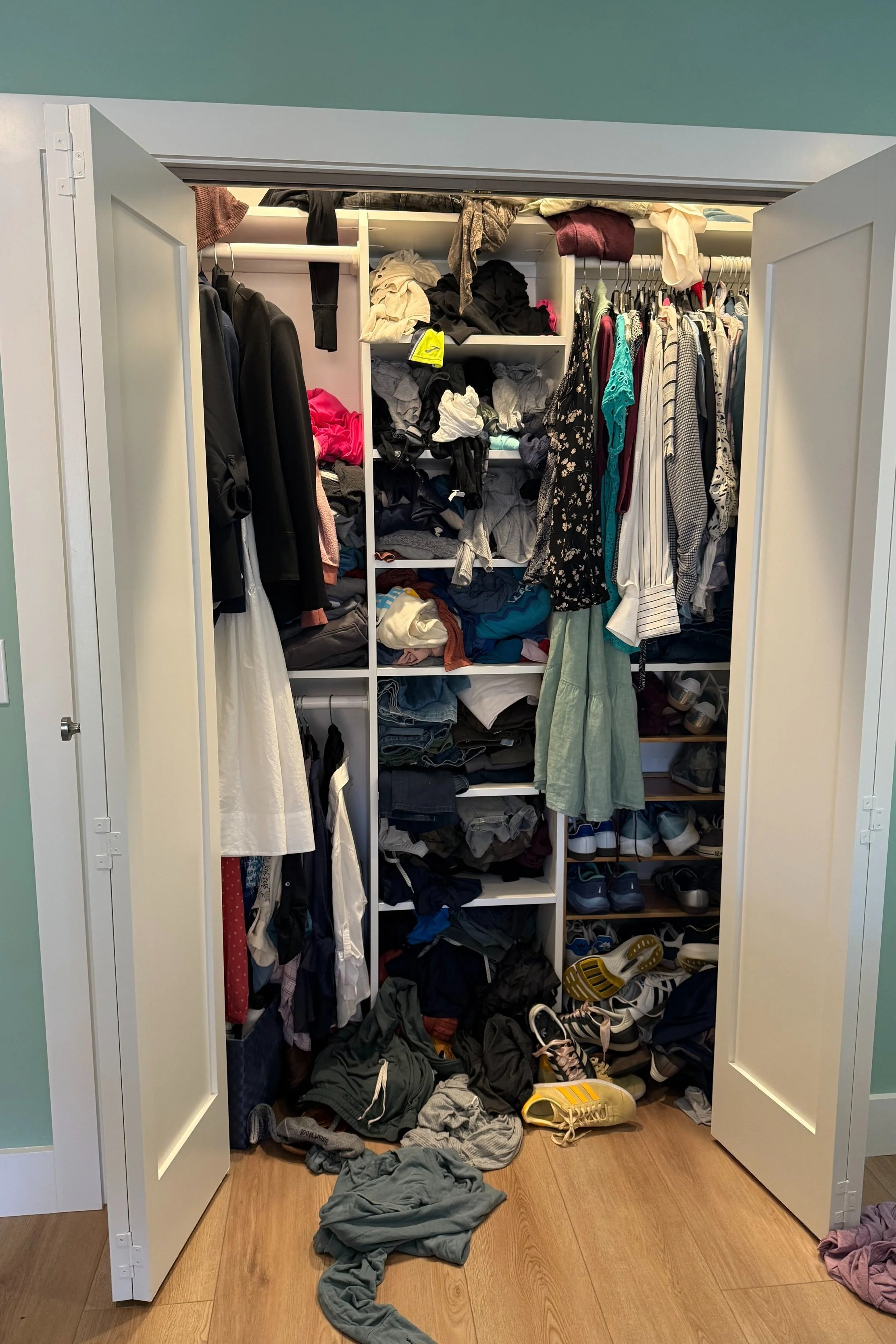 Closet Organization by California Closets