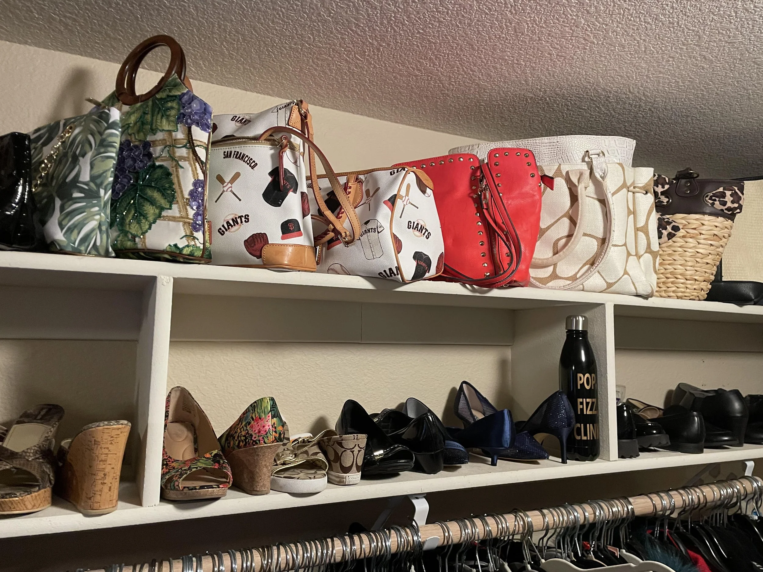 Walk-in Closet designer bags and purses organized Heels 