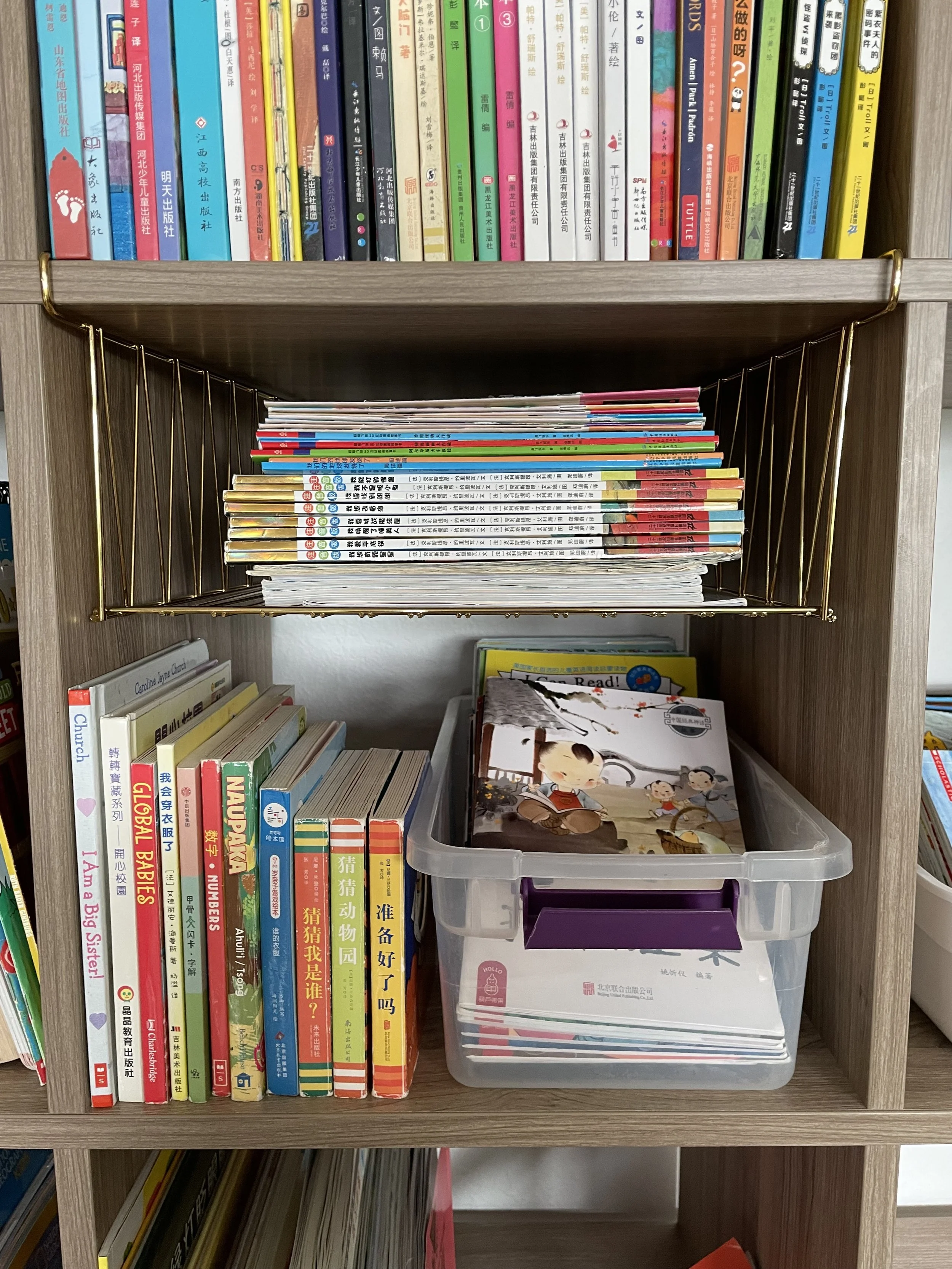 Organized Bookshelfs 