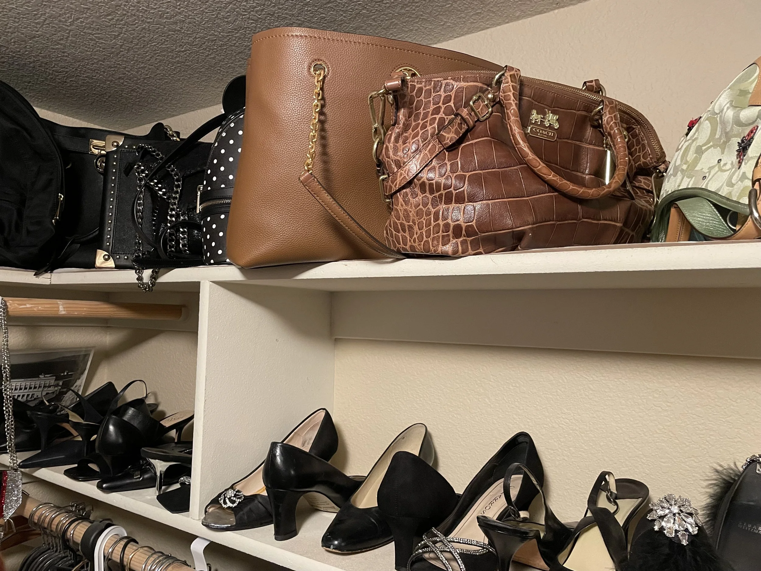Walk-in Closet organized designer purses bags and heels