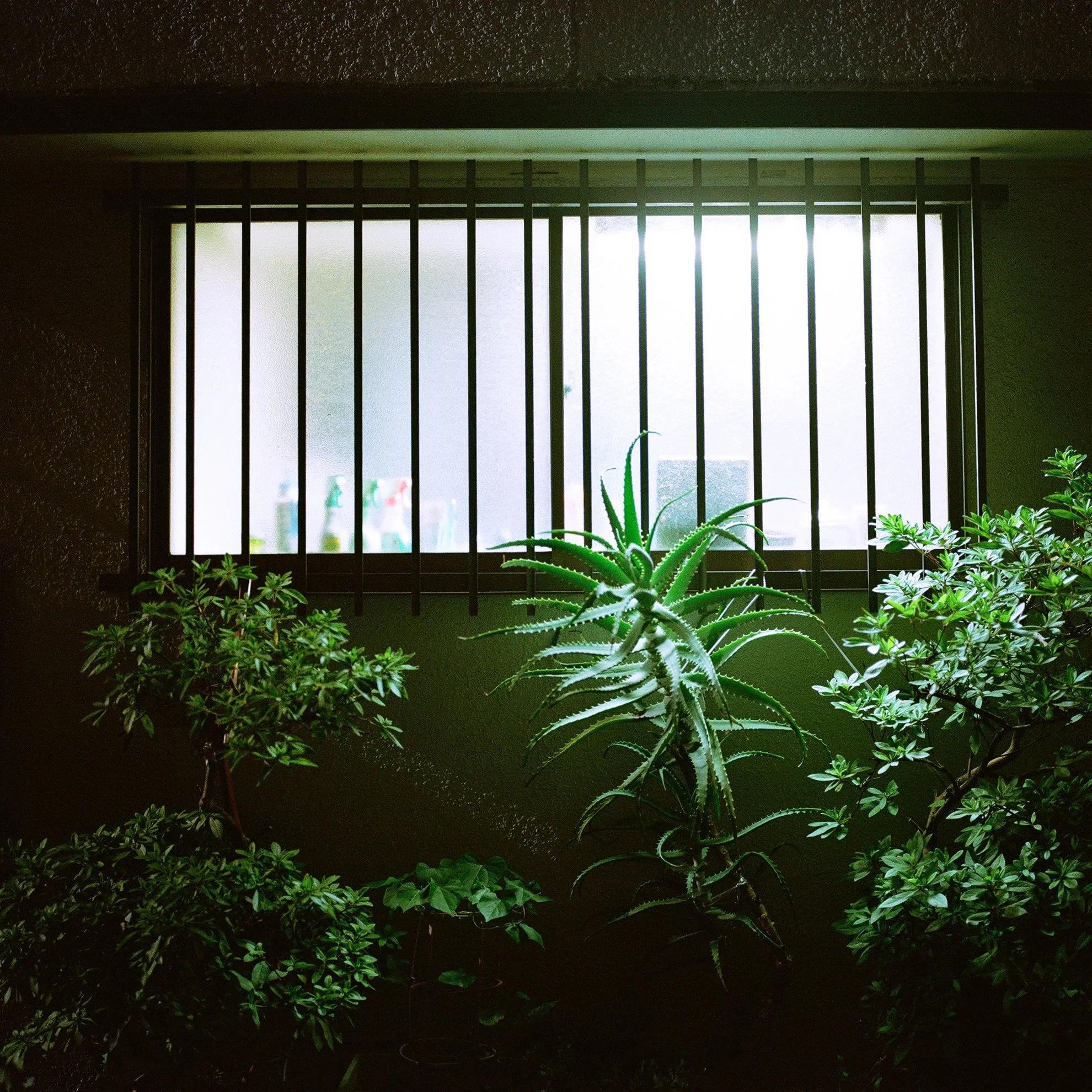 000003120003 copy.jpg