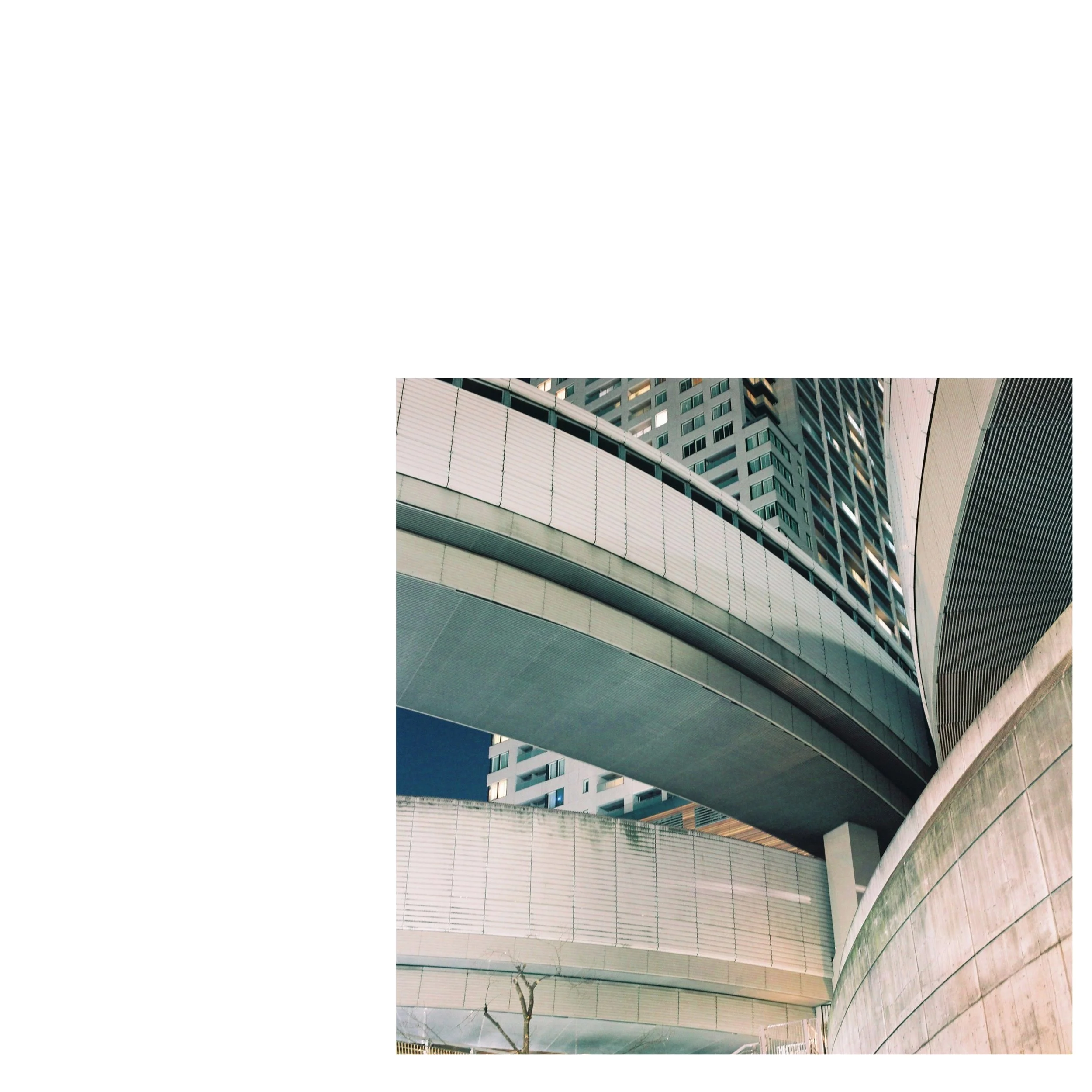 Untitled design-5.jpg