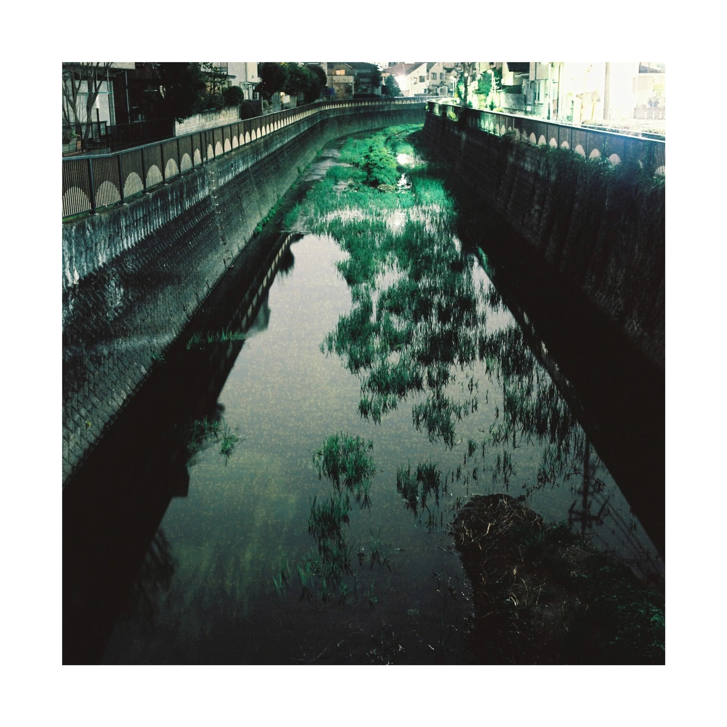 Untitled design-6.jpg