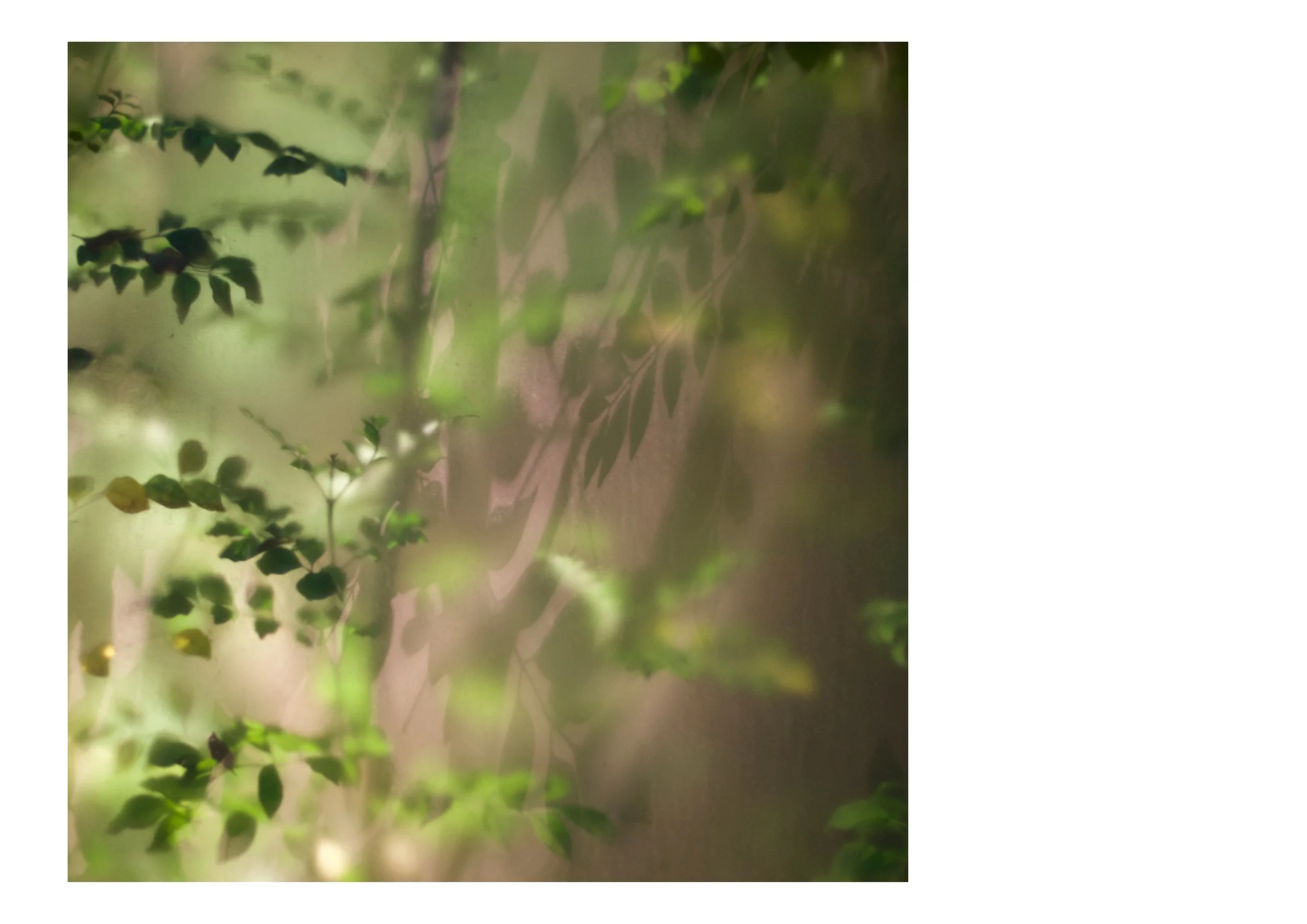 Untitled design-9.jpg