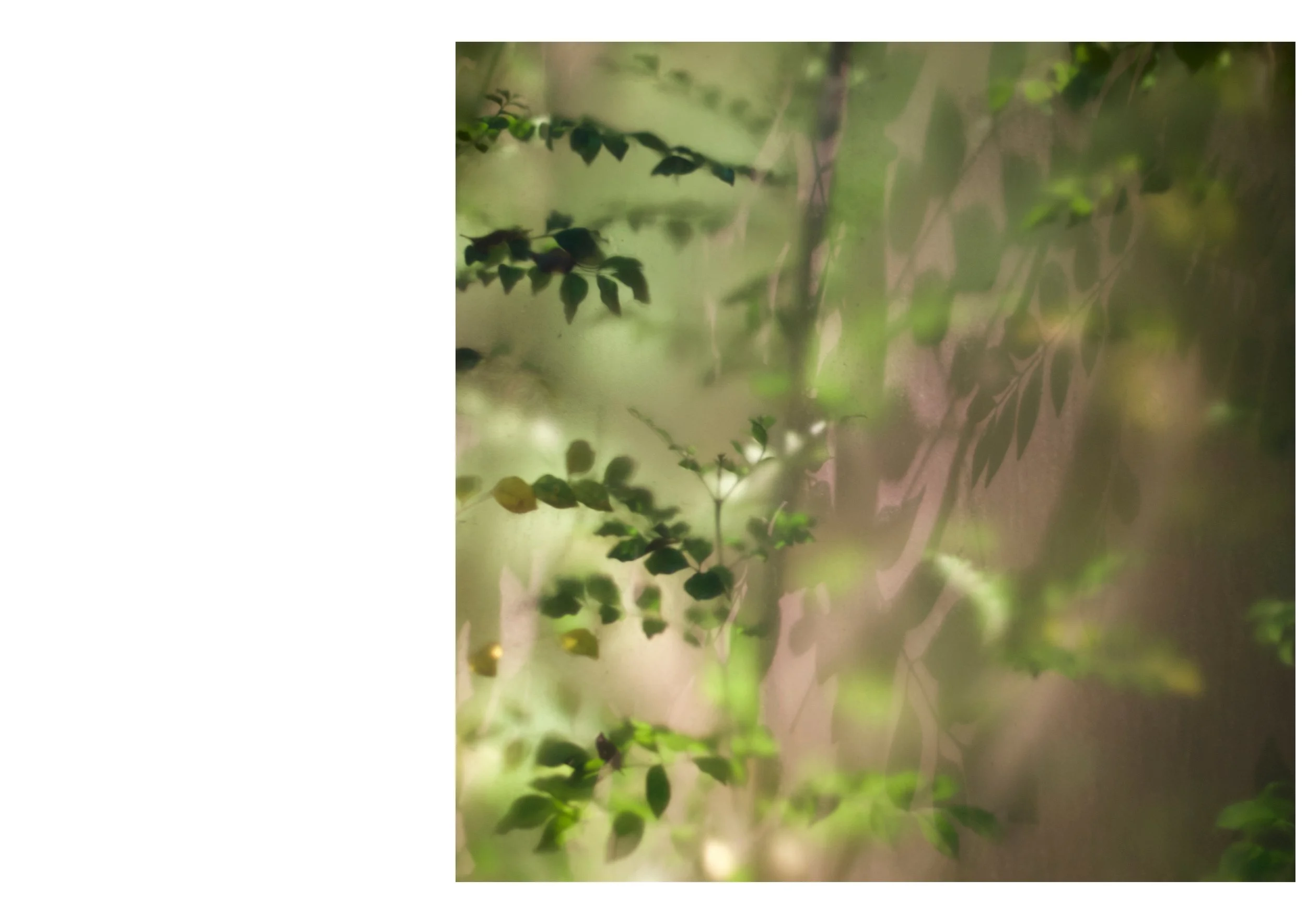 Untitled design-10.jpg