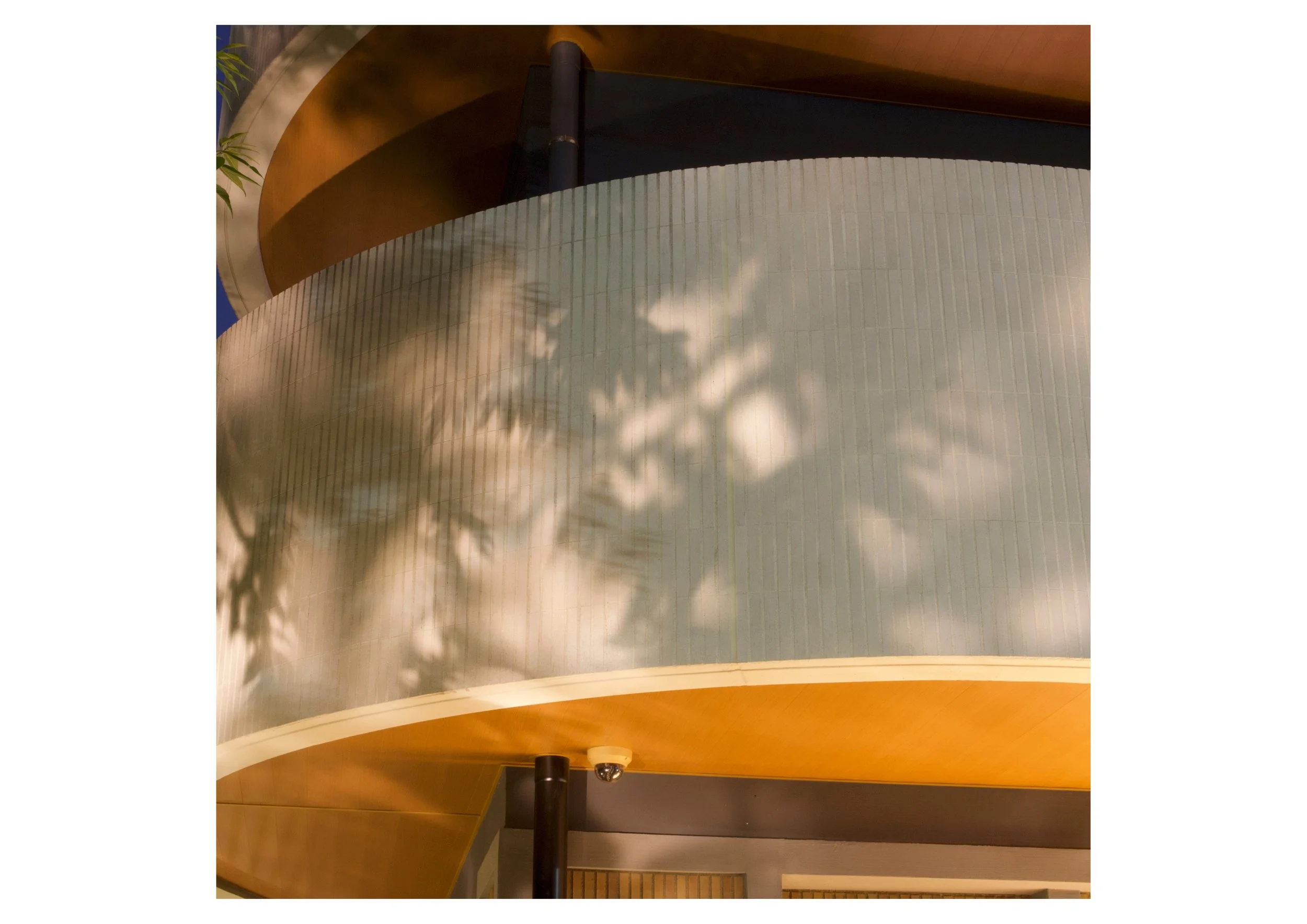 Untitled design-12.jpg