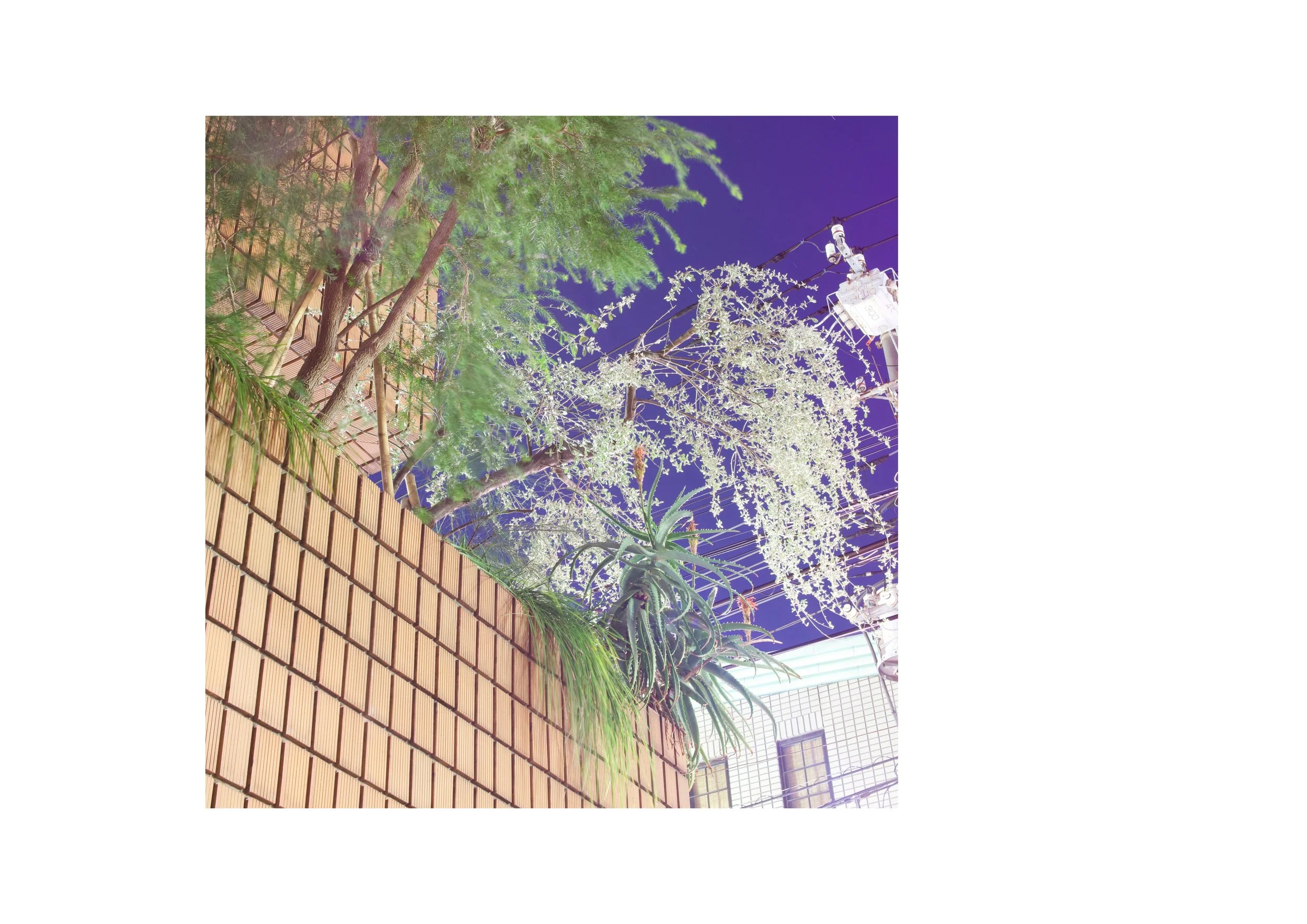 Untitled design-13.jpg