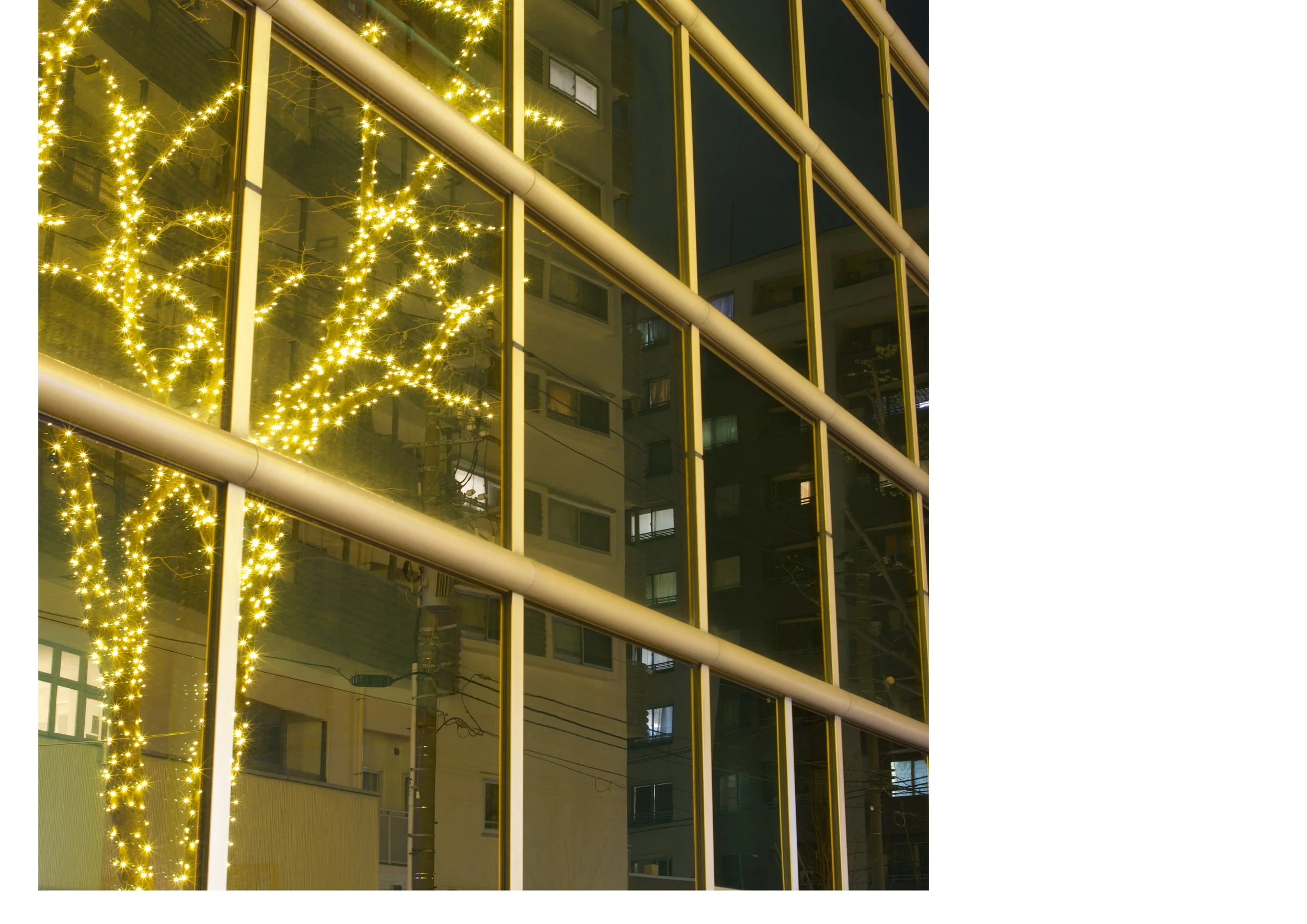 Untitled design-18.jpg