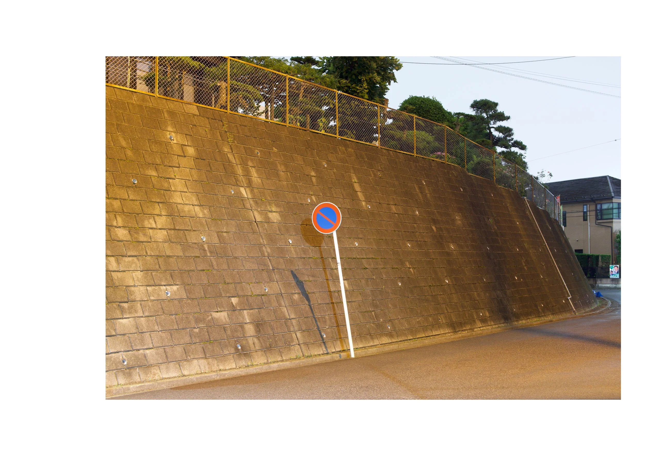 Untitled design-8.jpg