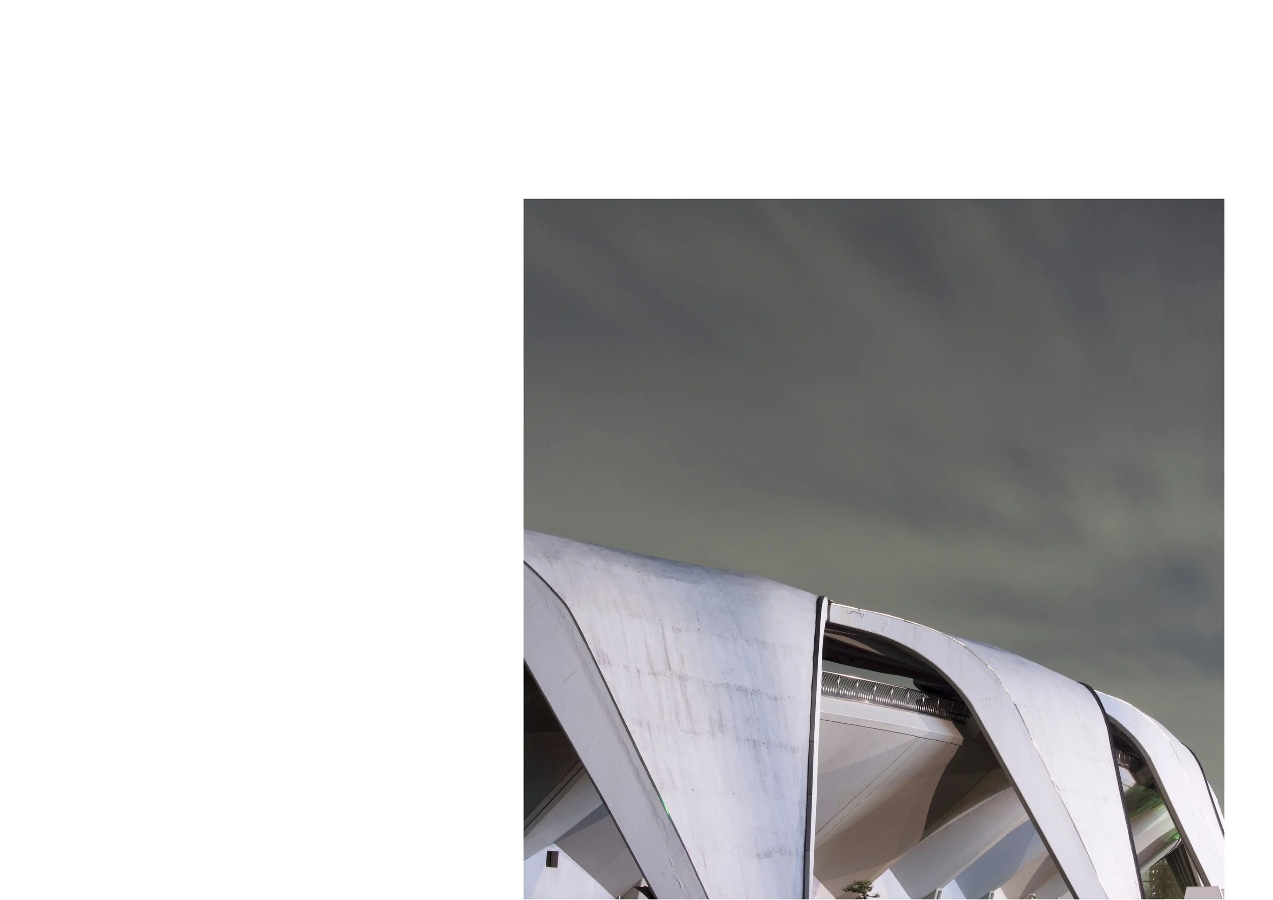 Untitled design-16.jpg